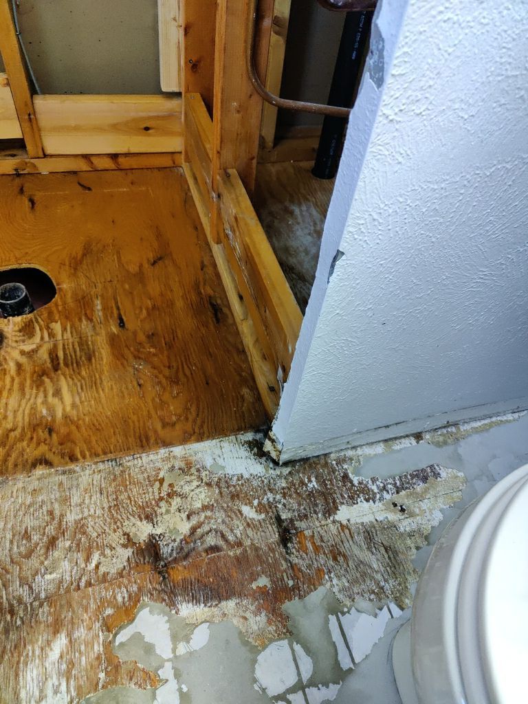 Mold Remediation  by Accountable Home Services