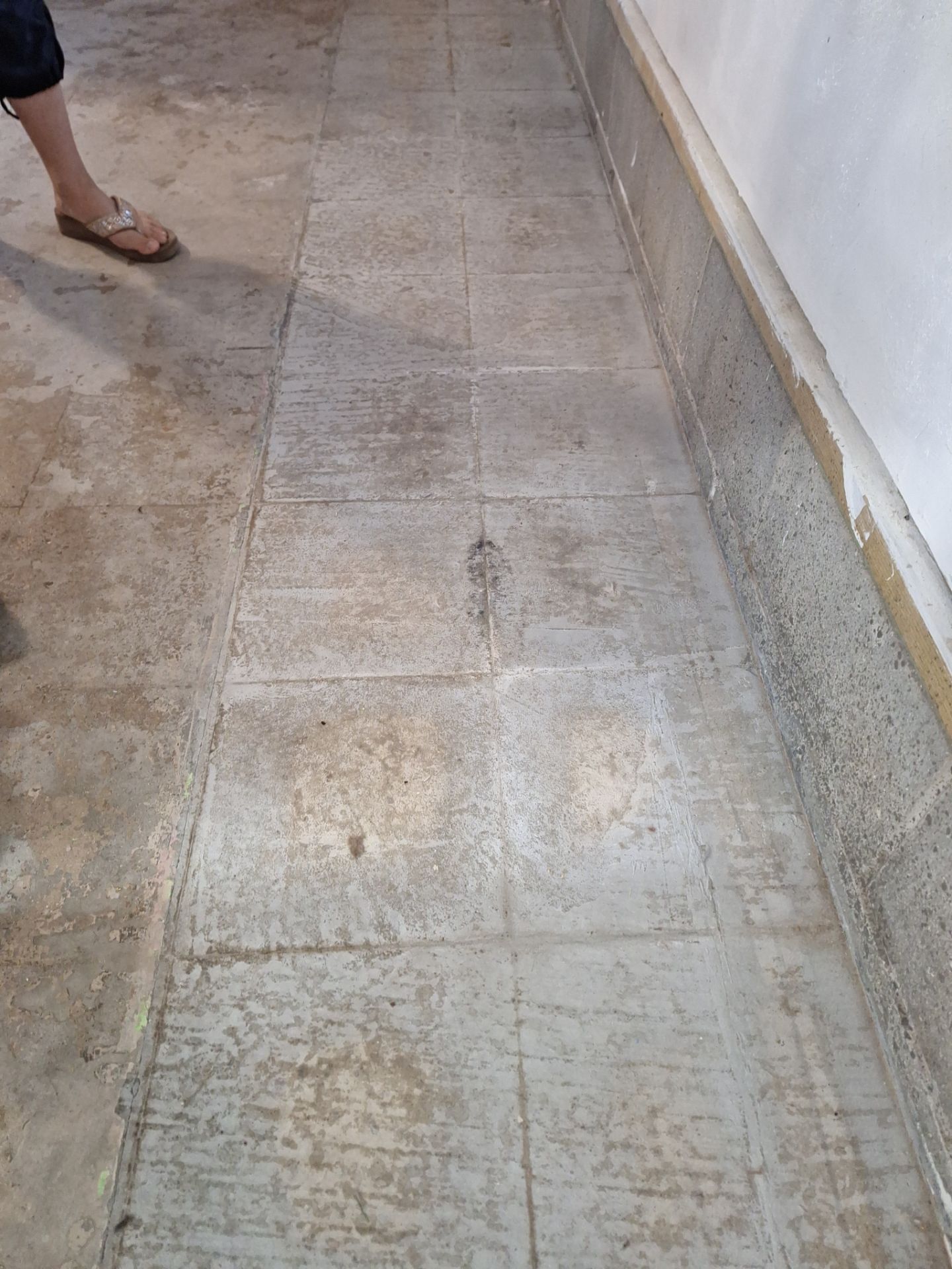 Durable Epoxy Flake Floor for Dog Grooming Studio – Norton Shores, MI by Gordon Painting
