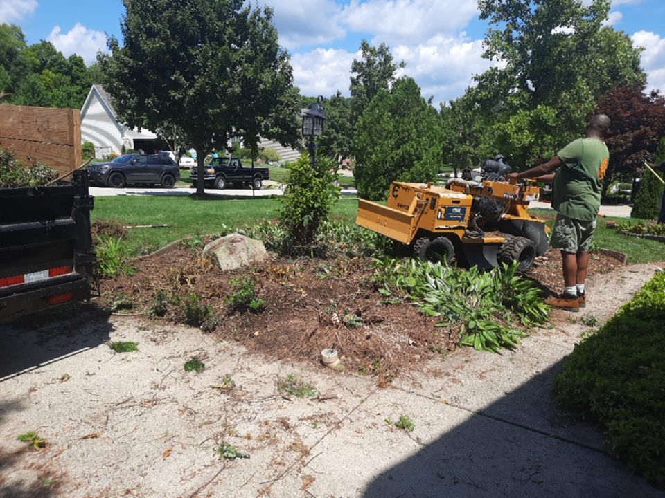 Tree Removal using Tree Removal by Mike Jones & Sons Tree Service LLC 
