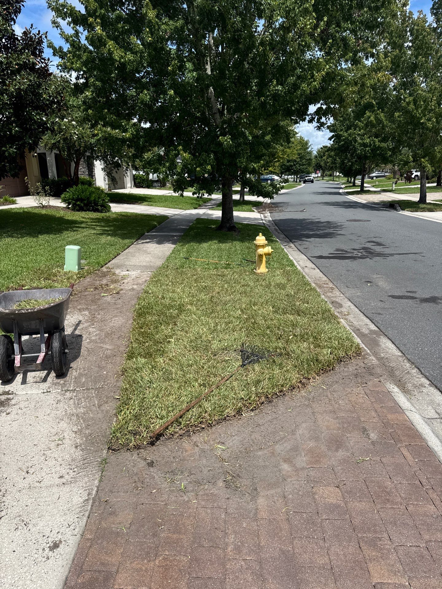 Residential | Sod Installation by ProGreen Services