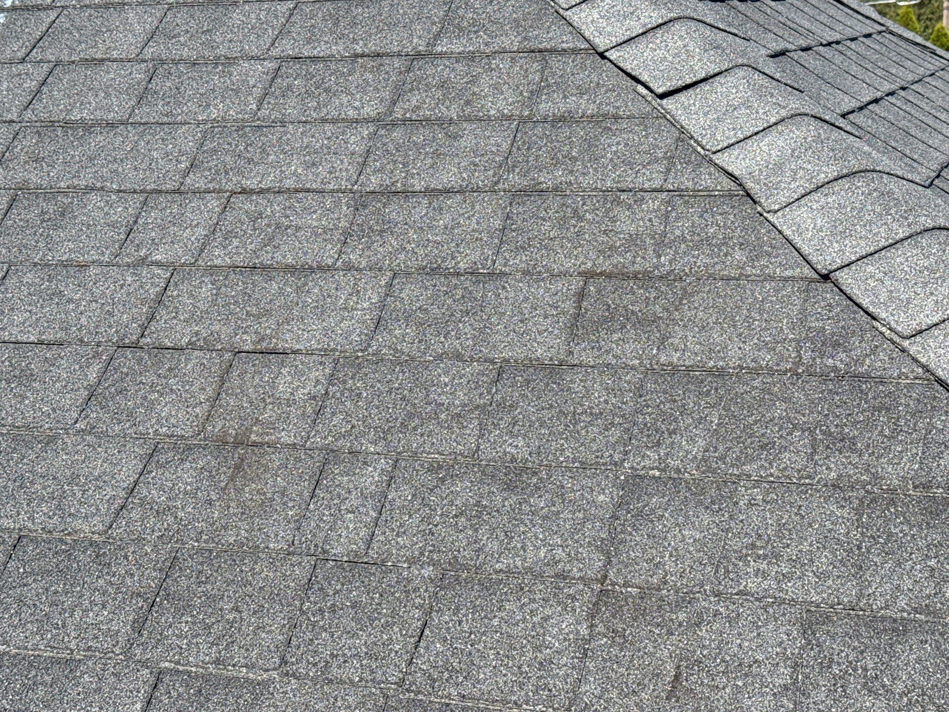 Asphalt Shingle Roof Replacement for Two-Story Home in Meridian by Olive Roofing