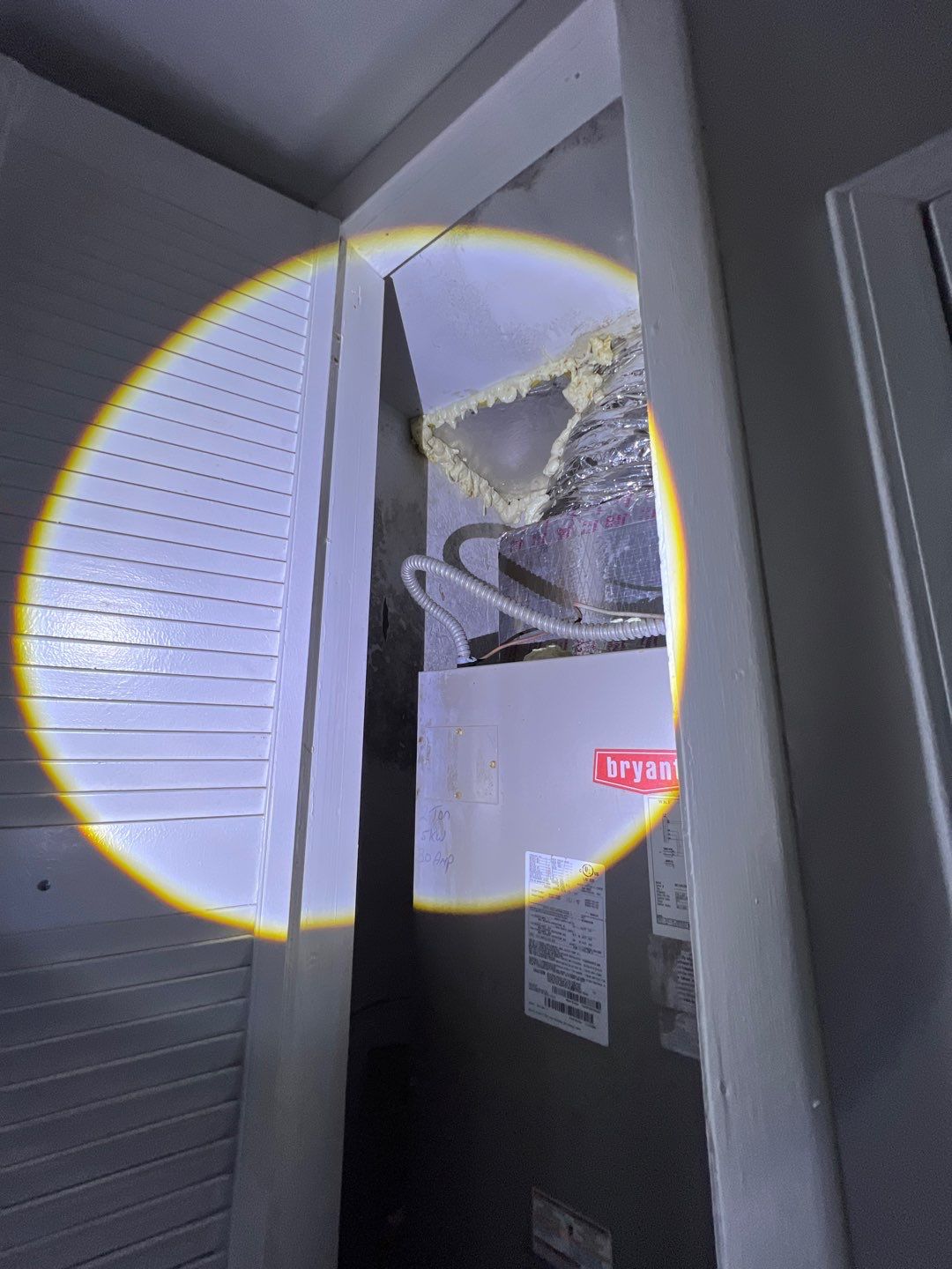 St Petersburg Mold Remediation by Ampm Restoration Services