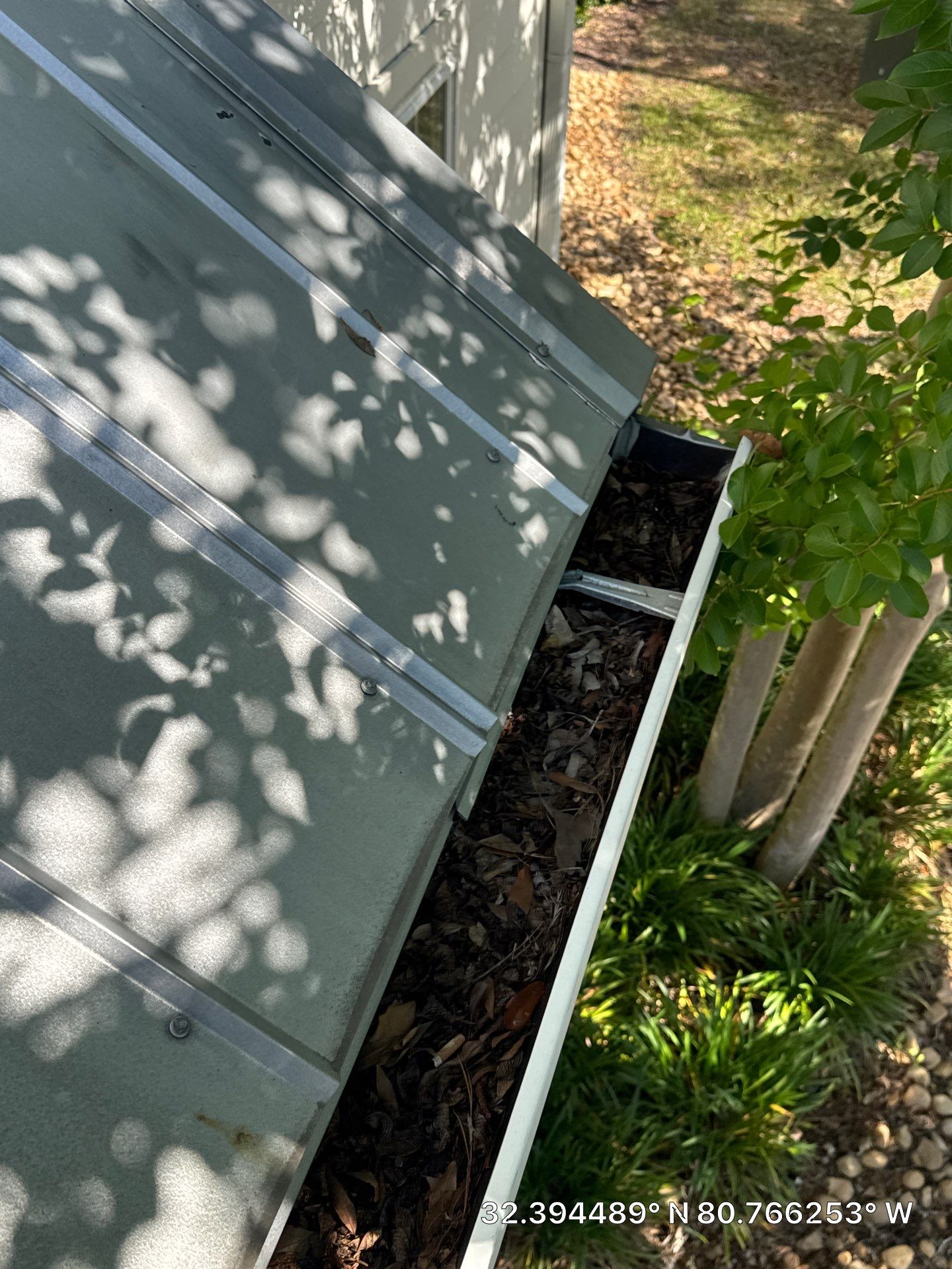 HOA gutter cleaning in Hilton Head & Bluffton, SC before  photo showing full gutters.