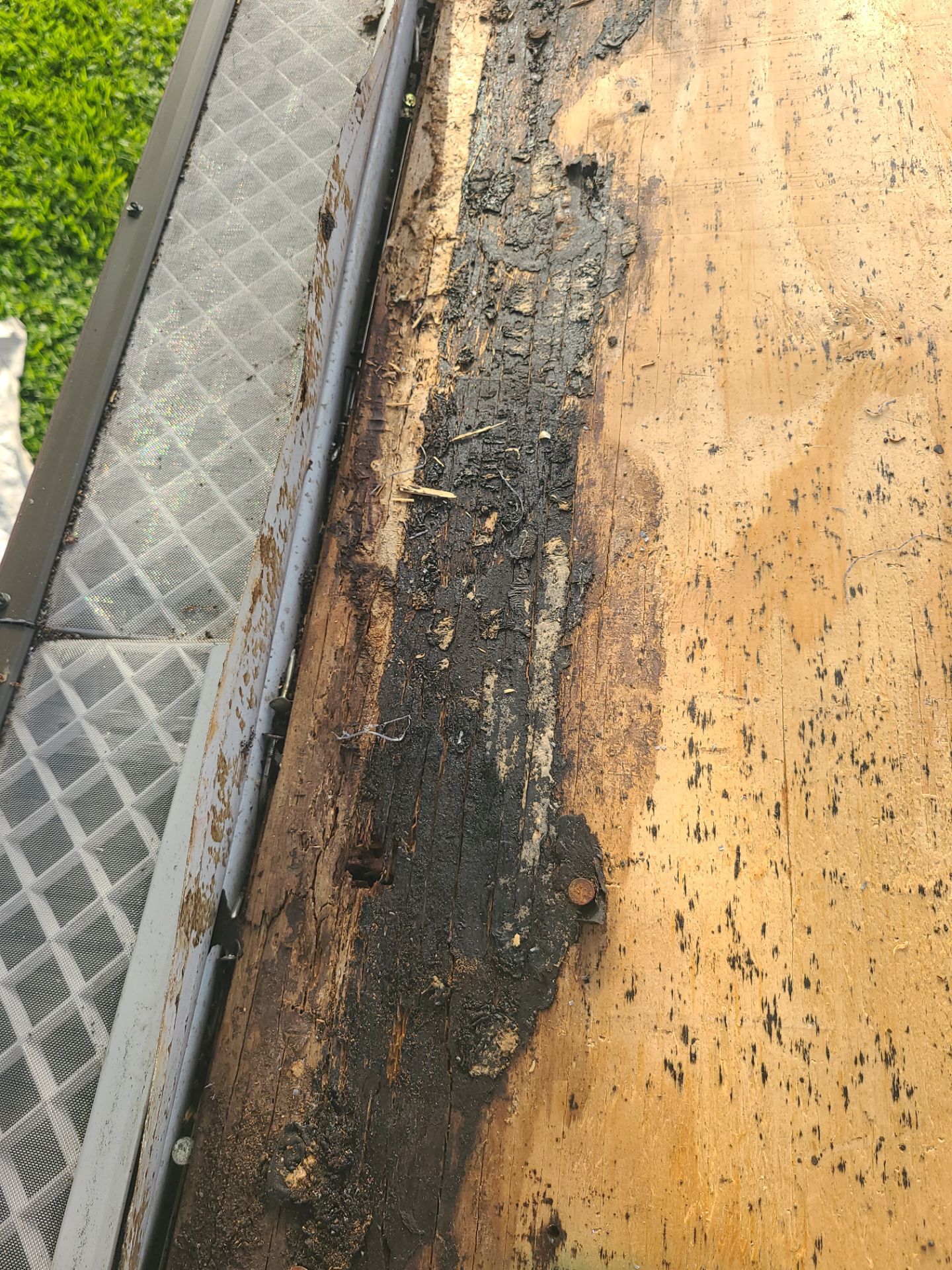 Roof Repair Houston by Roof Repair Services LLC