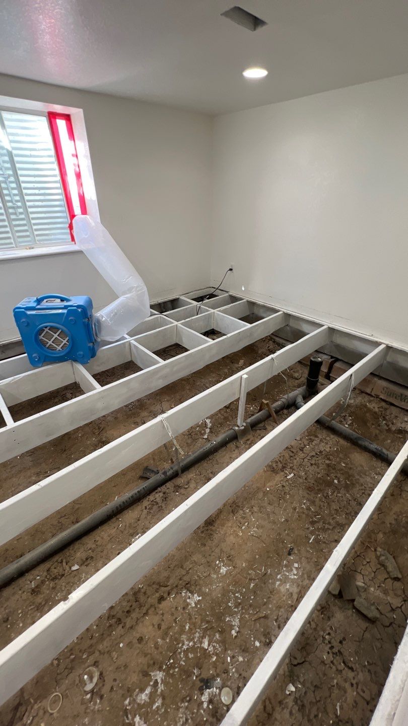 Mold Remediation by Accountable Home Services