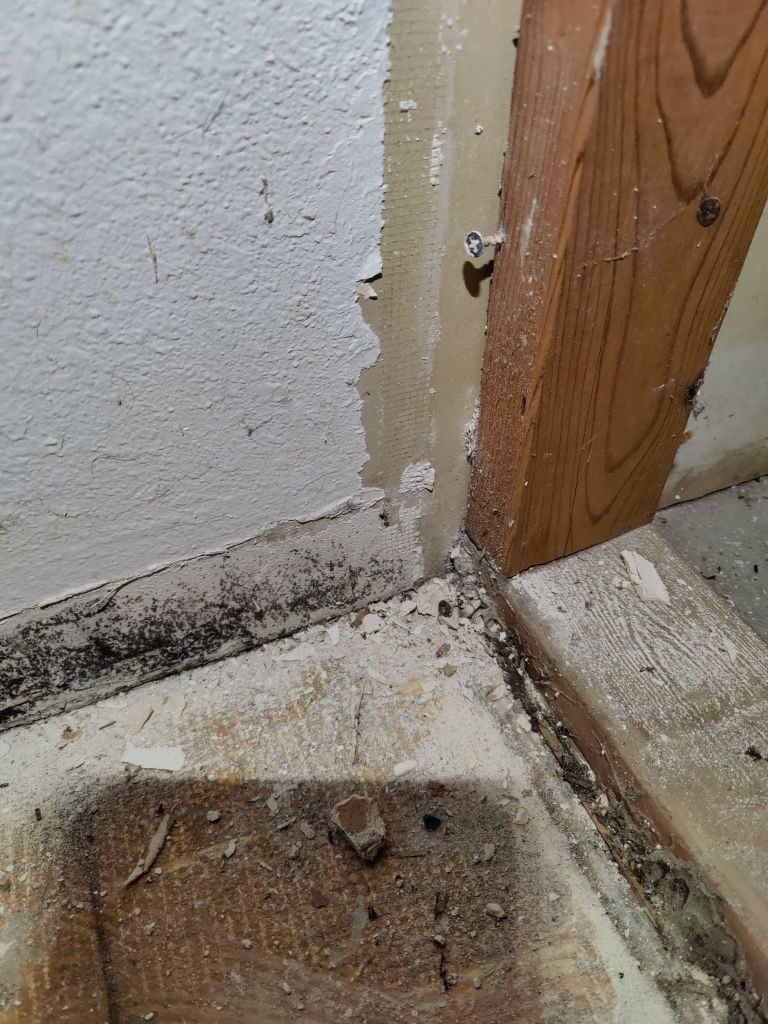 Water Damage Project in Denver by Accountable Home Services