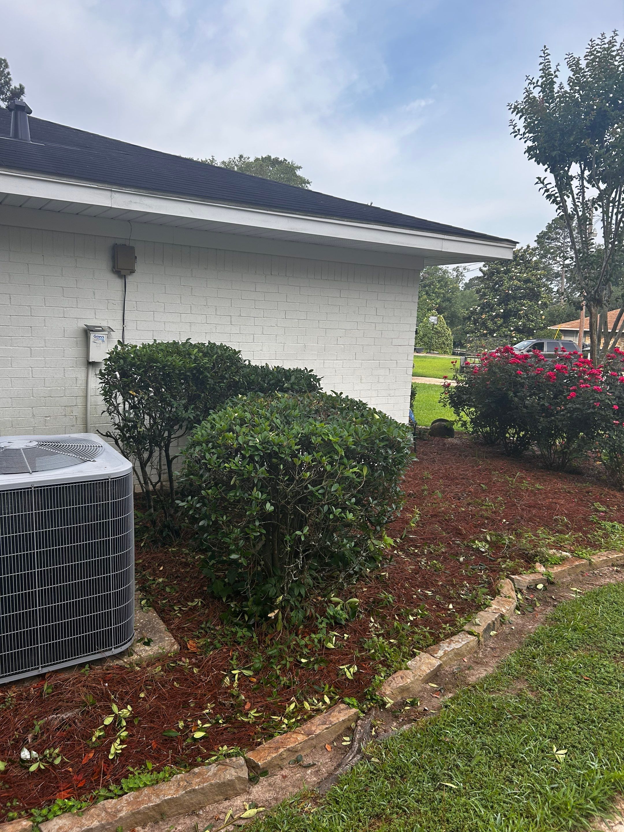 Total House and Yard Clean Up by College Bros Outdoor services