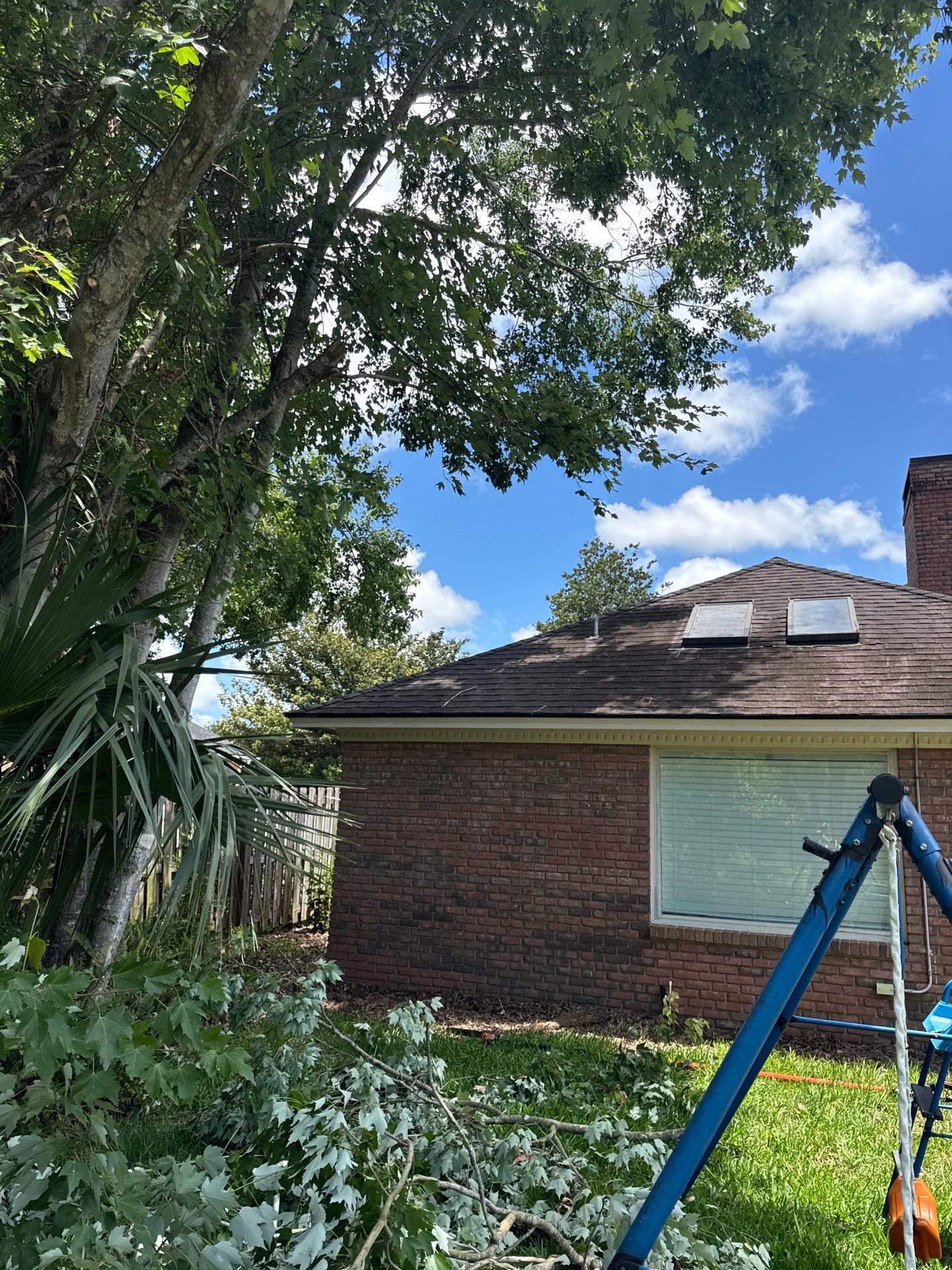 Deerwood Resident | Tree Trimming by ProGreen Services