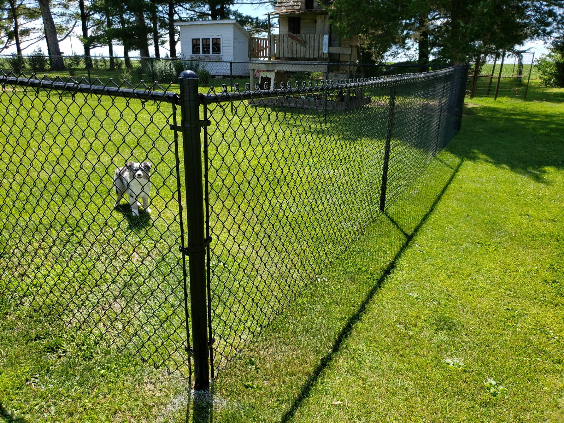 Residential Black Vinyl-Coated Chain Link Fence Installation in Bristow by Perfect Picket Fence and Stain