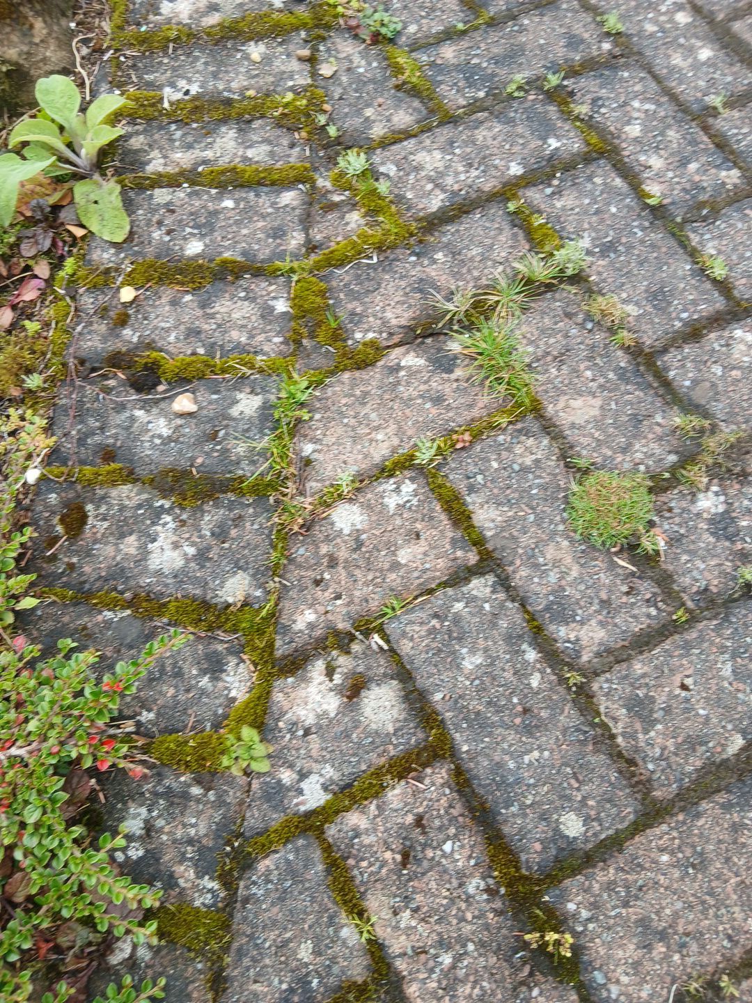 Jetwash in Carluke by EZXCo Ltd