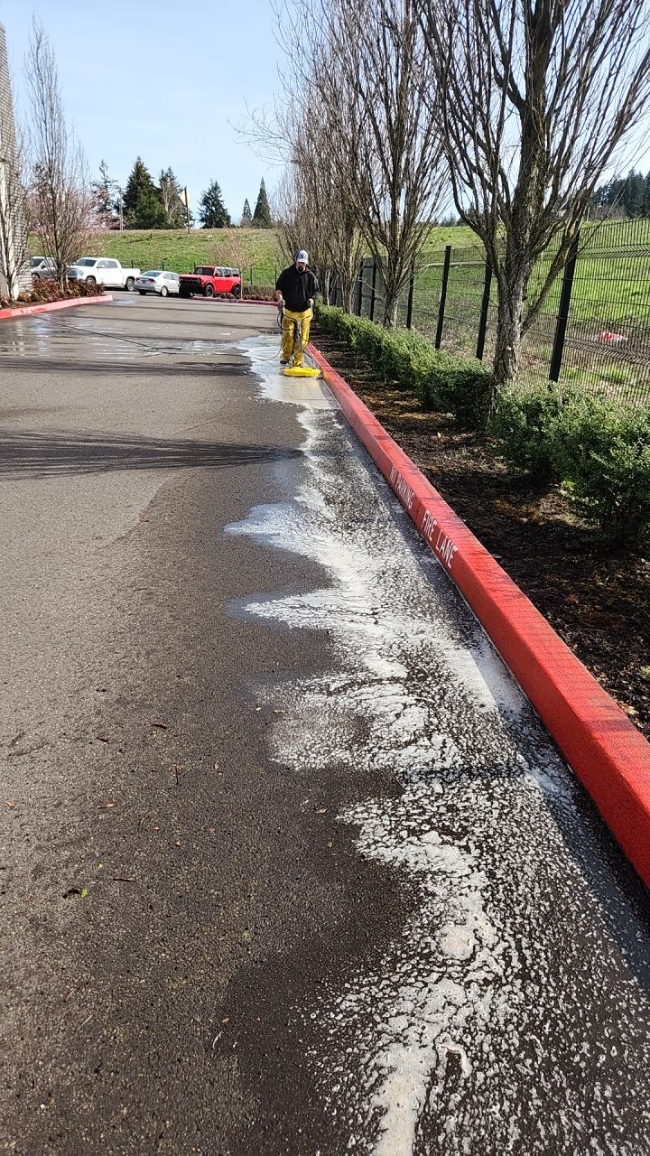 Soft Wash using Soft wash solution by Willamette Outdoor Wash LLC