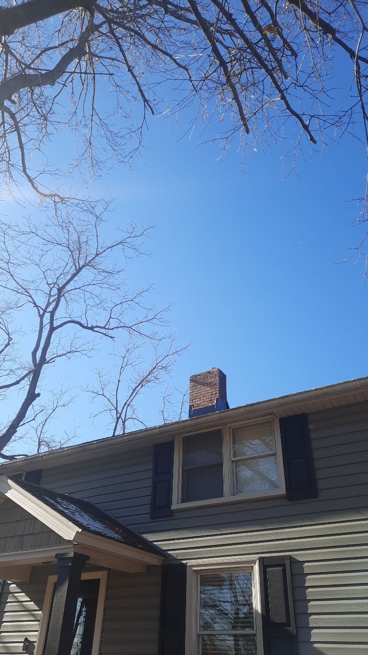 Tree Trimming using Tree Pruing by Mike Jones & Sons Tree Service LLC 