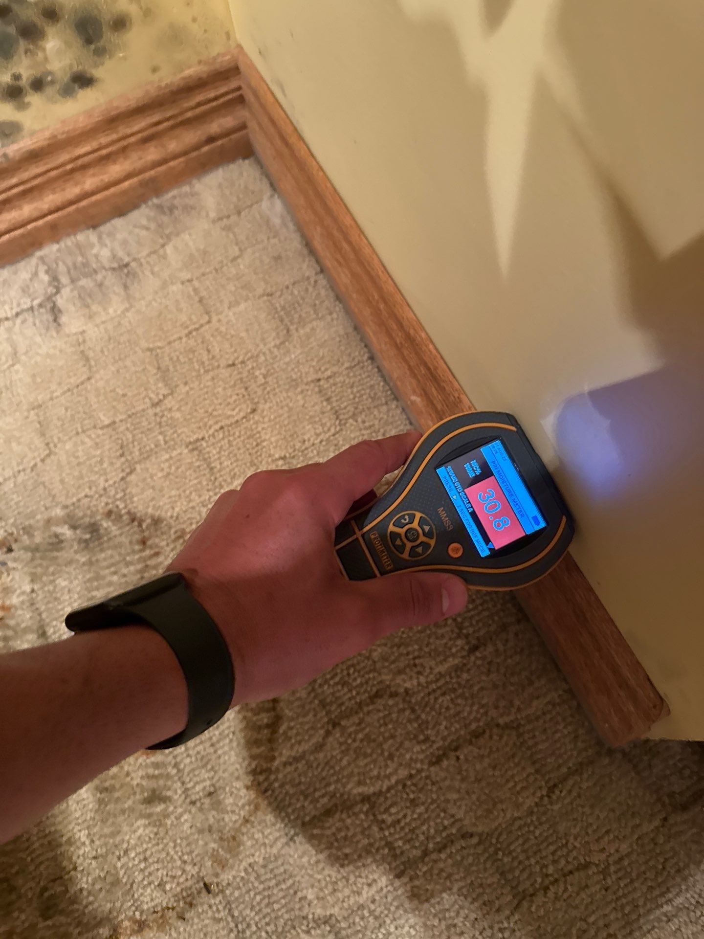 Project in Novi by EzDry Water Mitigation & Property Restoration