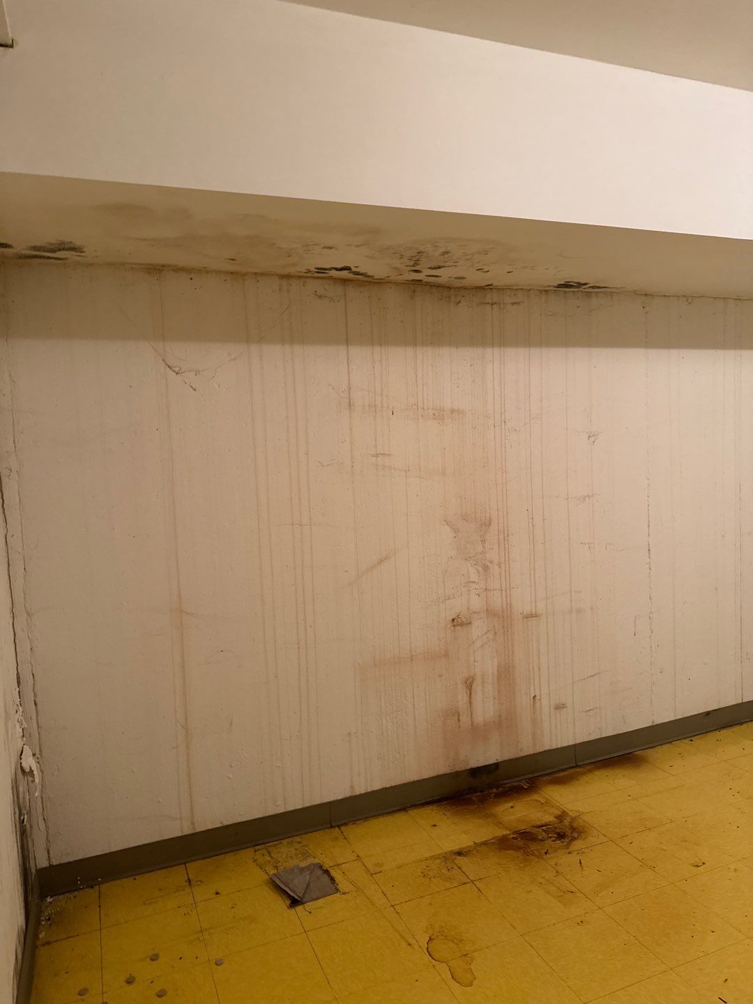 Project in Birmingham by EzDry Water Mitigation & Property Restoration