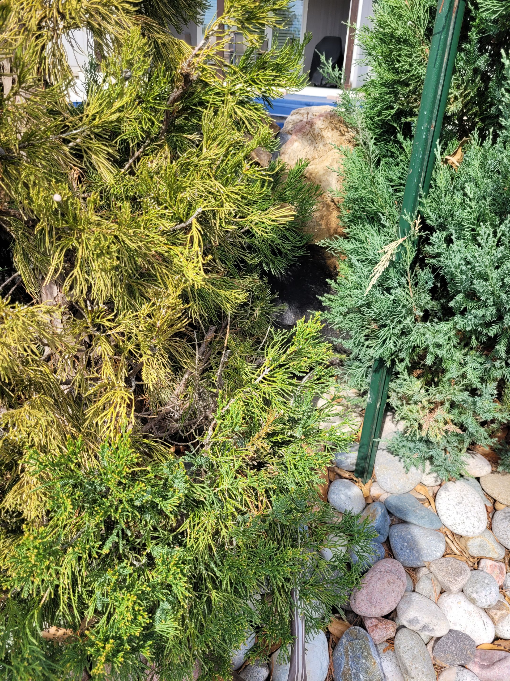 Pool Retaining Wall by LAND ESCAPES LLC