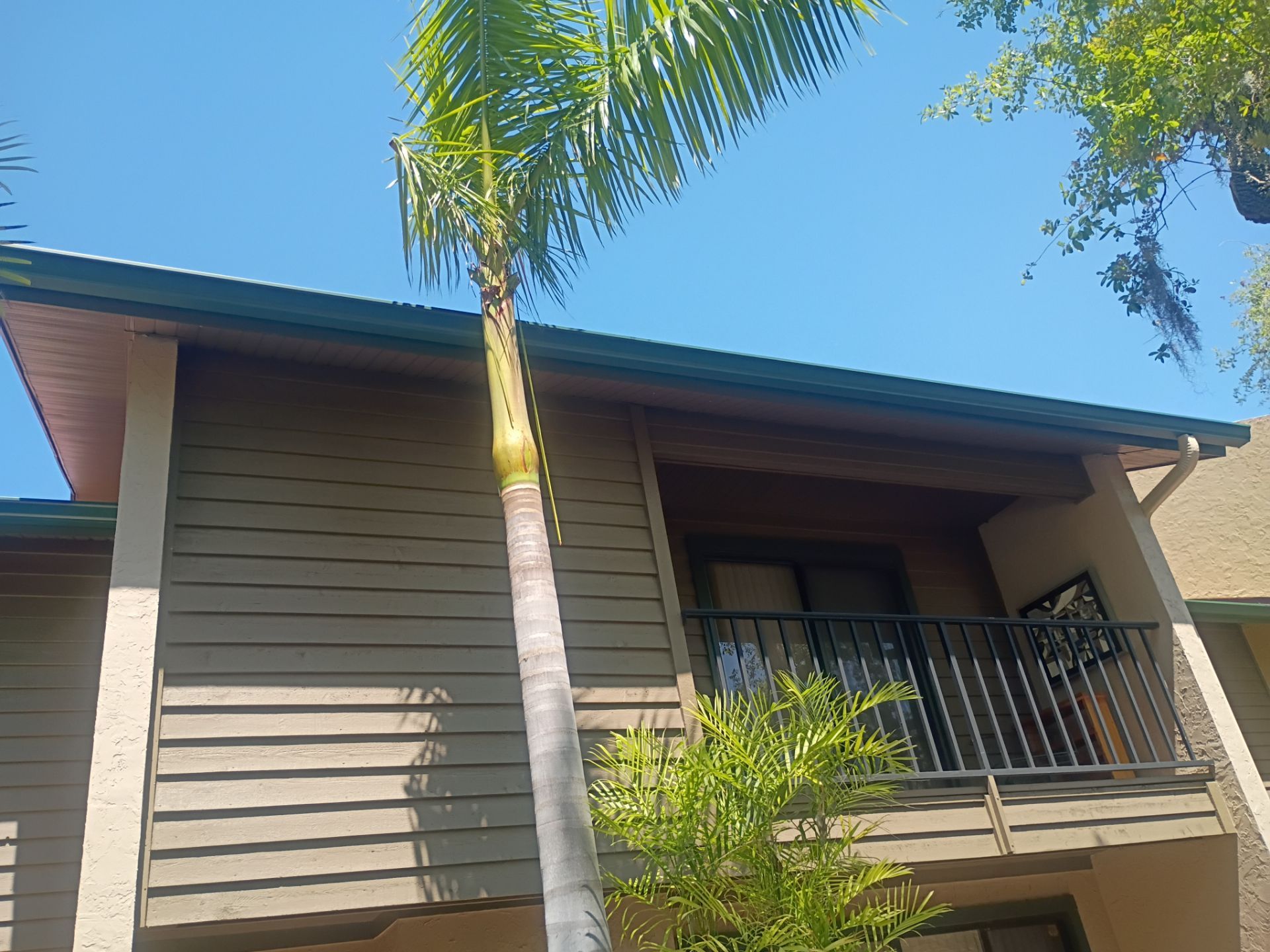 Leaf Guard using Gutter Guards & 3X4Downspoutsts in Sarasota FL by Gutter Professors