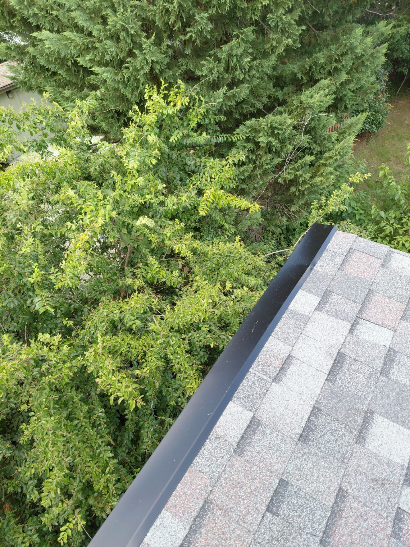 Arlington: Residential Roof Replacement with CertainTeed Landmark PRO in Max Def Colonial Slate by RM Banning, Inc.