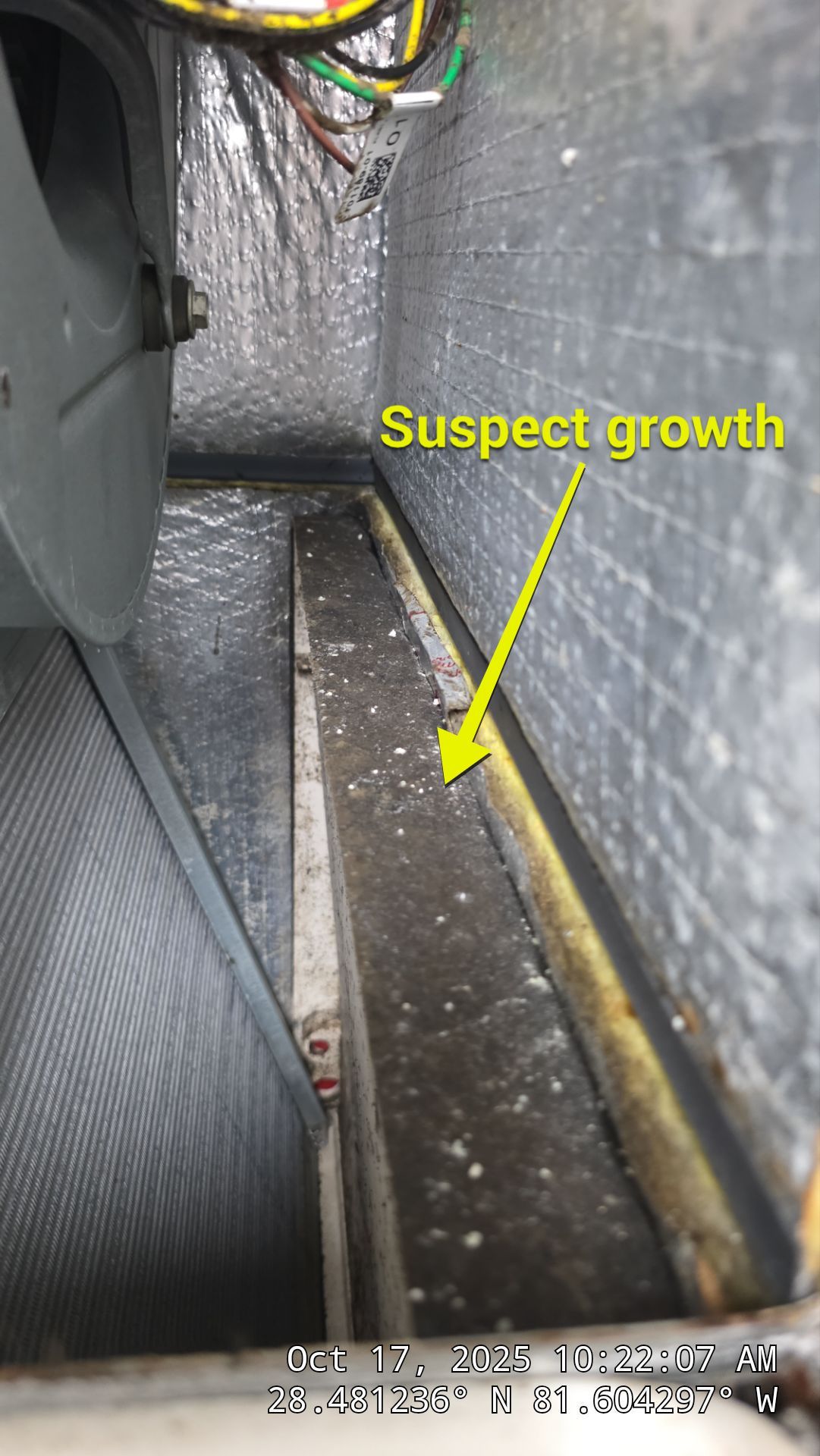 AIr Duct and Dryer Vent Cleaning in WInter Garden by Hygienic Air, Inc