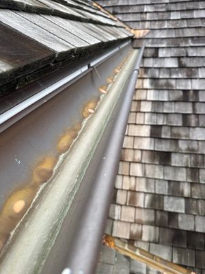 Gutter Cleaning in Fair Haven, NJ