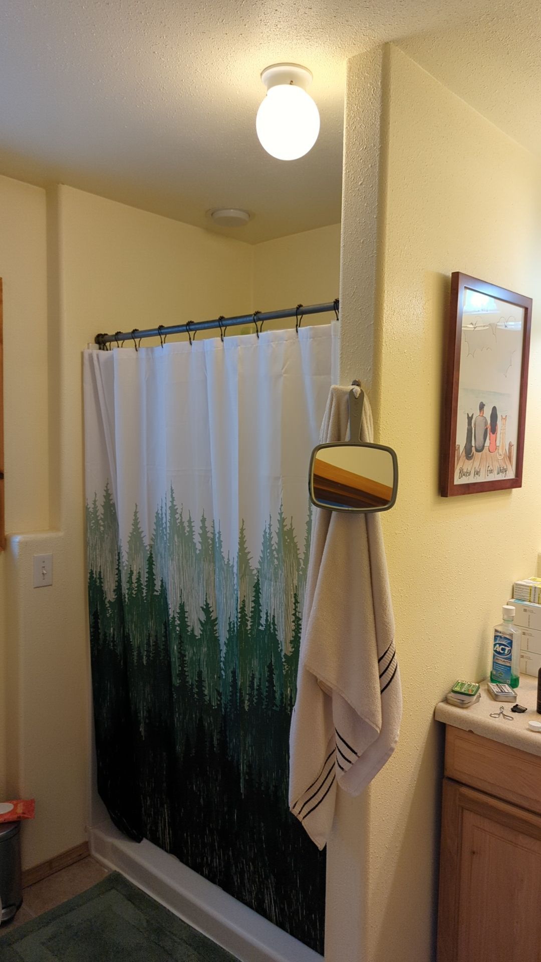 Interior Painting Refresh by Midnight Sun Painting