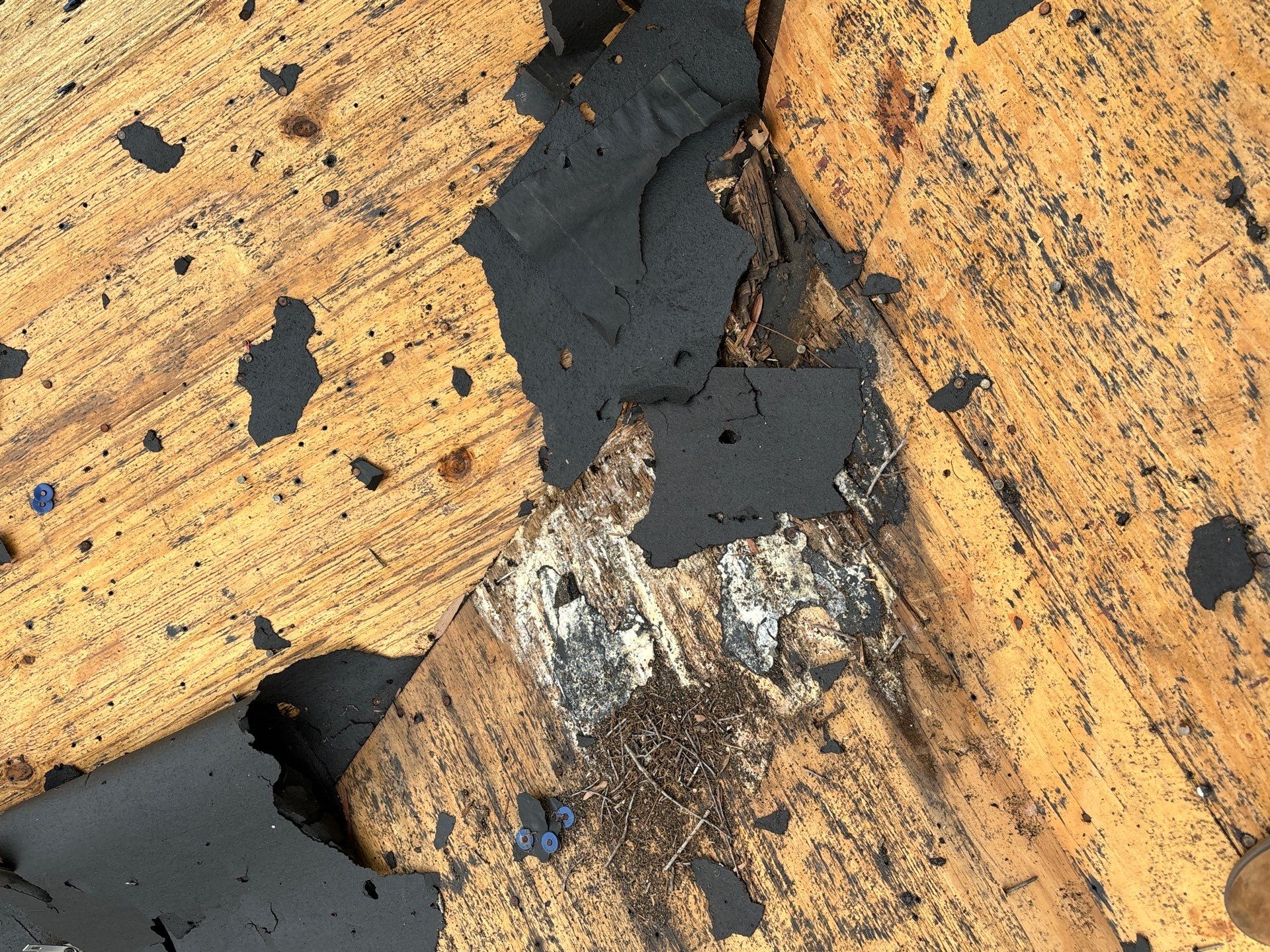 Roof Replacement Houston by Roof Repair Company