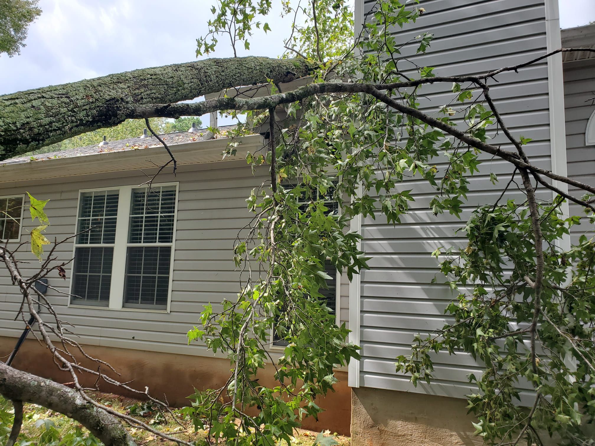 Roof replacement by wind damage and tree felling by Just Brilliant Restoration JBR