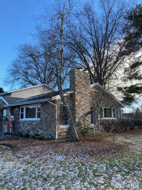 Tree Removal using Tree Removal by Mike Jones & Sons Tree Service LLC 