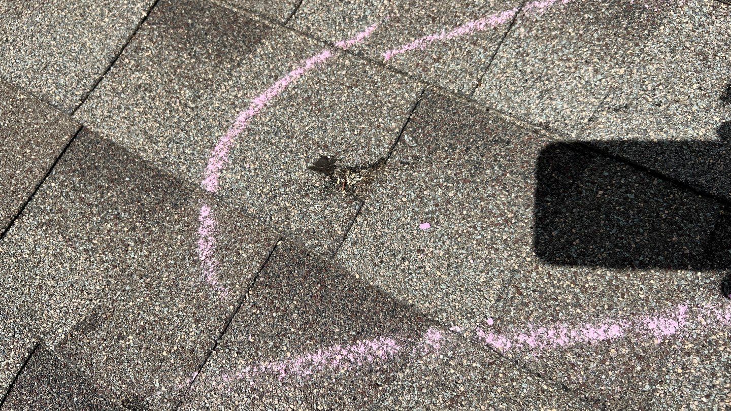 Winter storm 2023 with tree damage by Oakwood Roofing and Construction, LLC