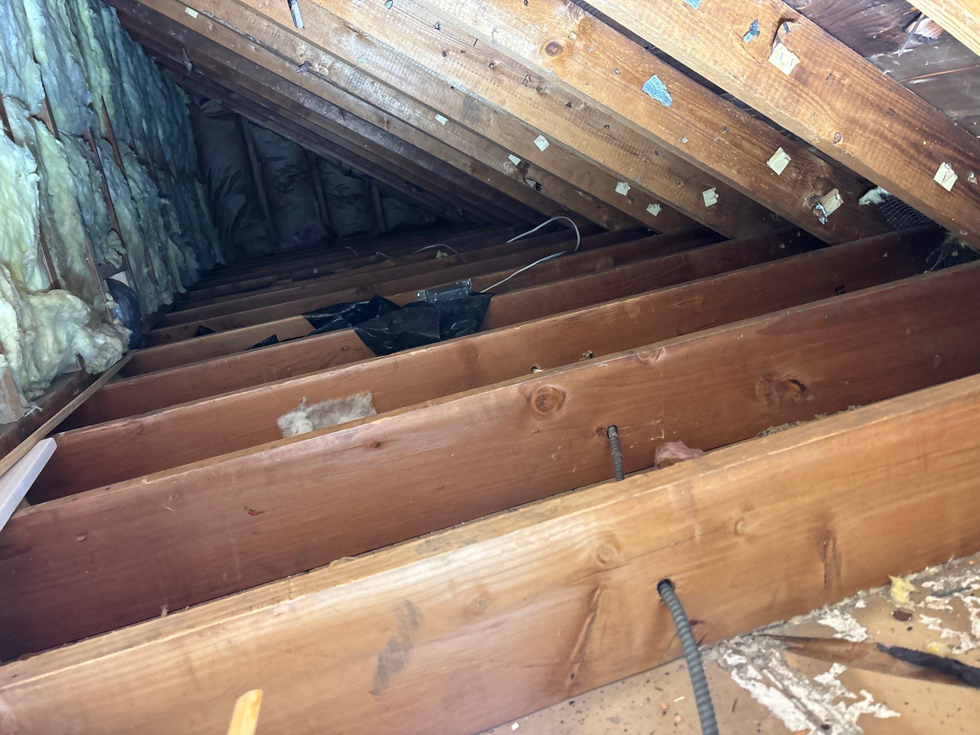 Attic sanitation and insulation upgrade in Wexford, PA by Home Environment Solutions