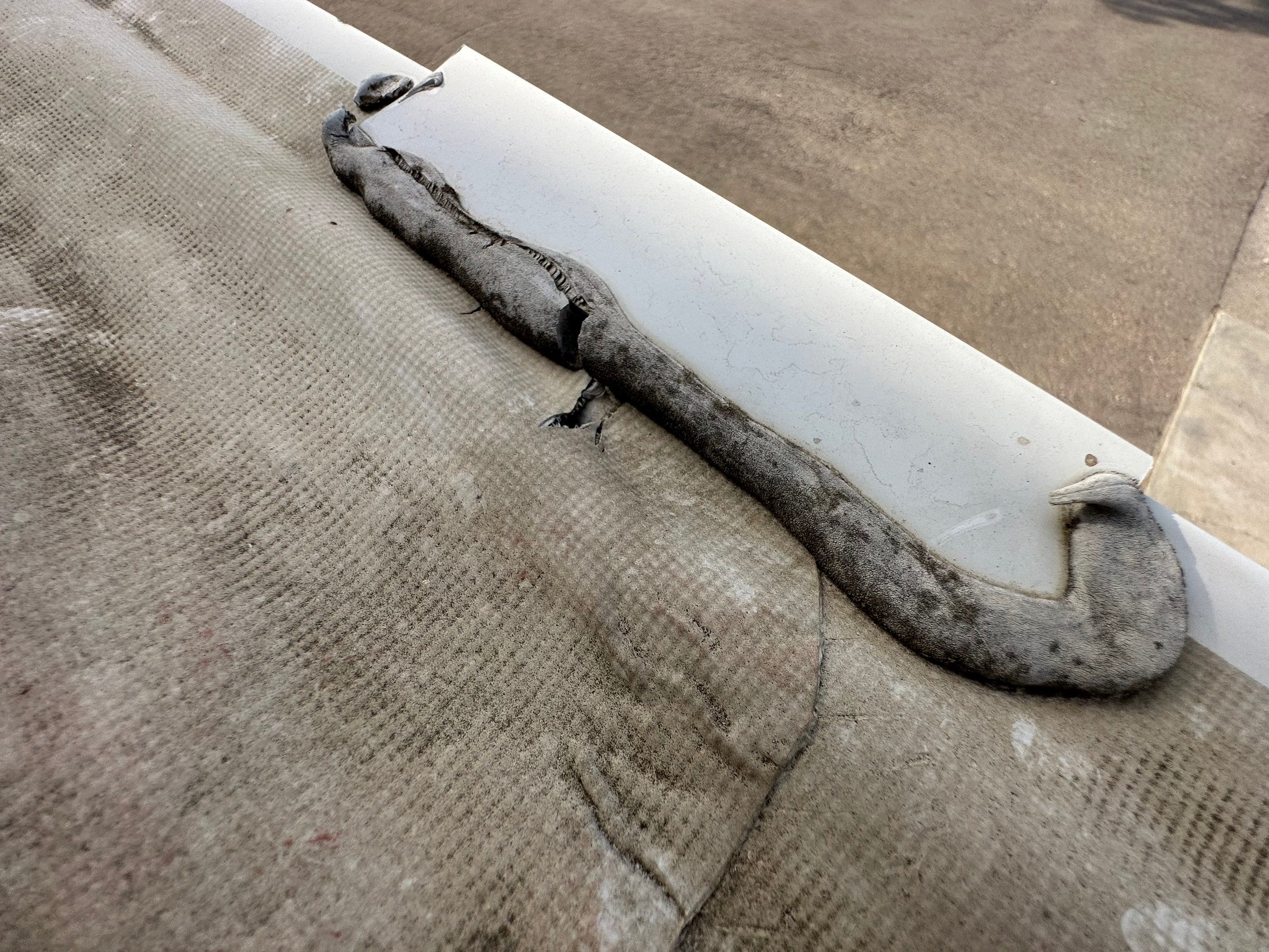 145 Cleveland Road West • Chinook, Montana 59523 by swagg construction