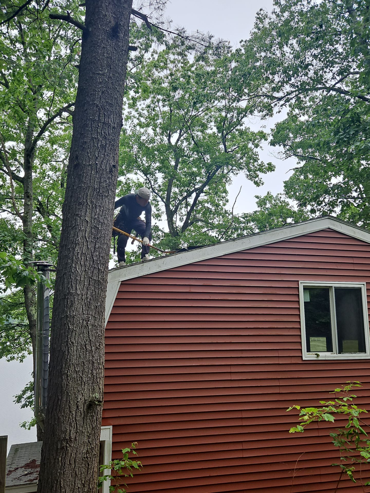 Leak Repair & Roof Wash – Groton, MA by Mighty Dog Roofing of Greater Middlesex County