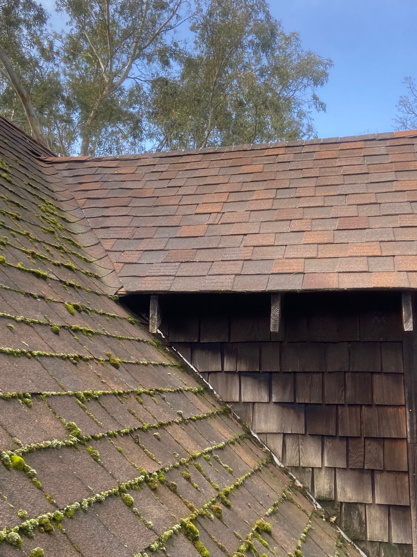 Roof Rejuvenation using Roof Maxx Treatment by Roof Maxx of Folsom