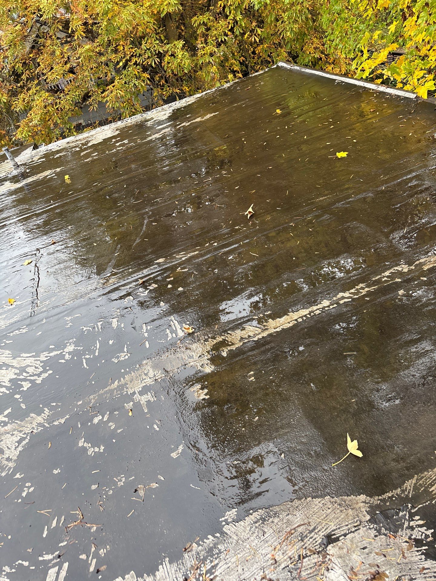 Project in Portland by Peak Exteriors LLC