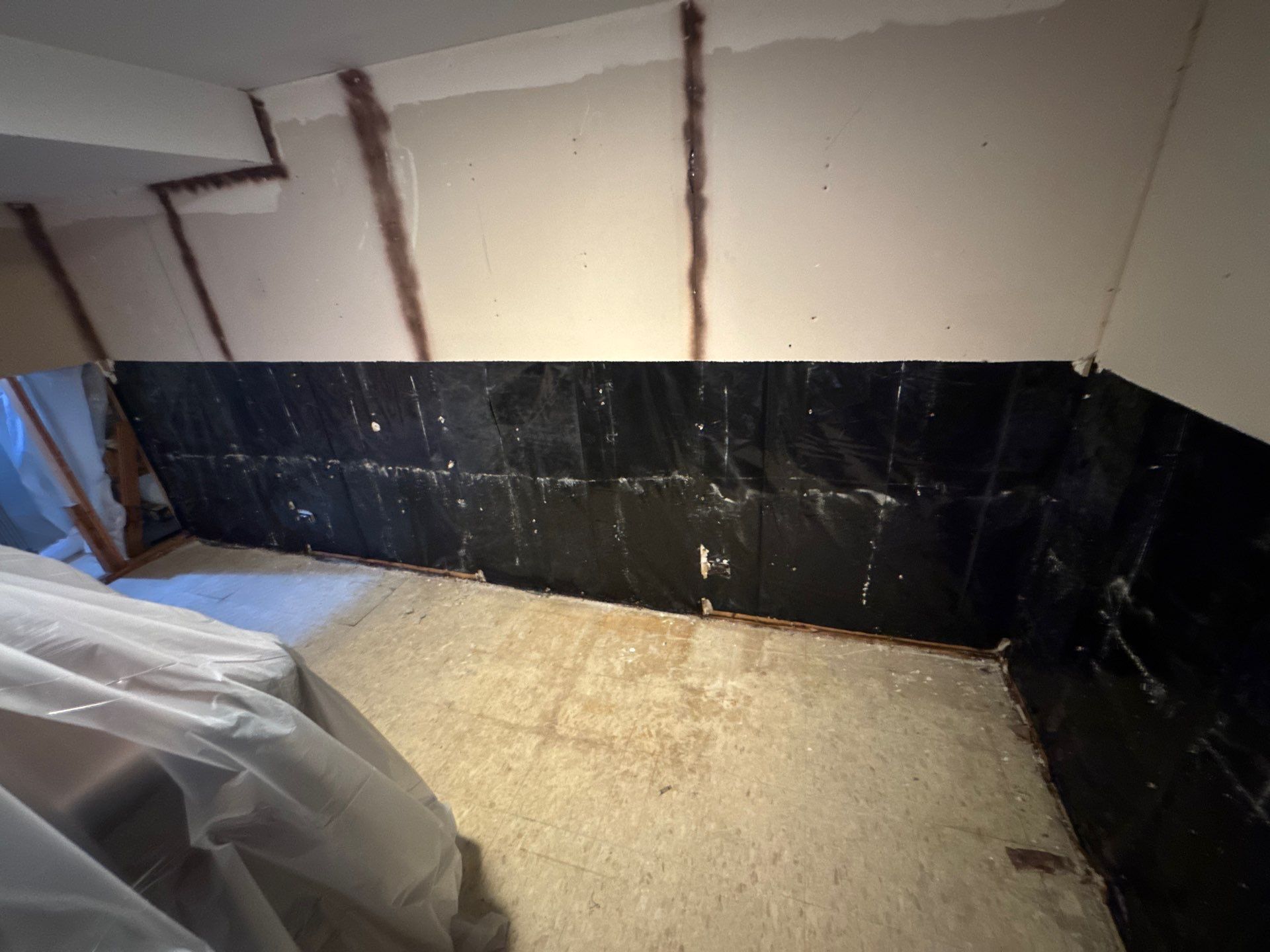 Drain Backup from a Storm by Chicagoland Water Medics