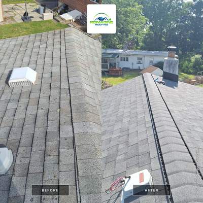 Silver Birch Shingles