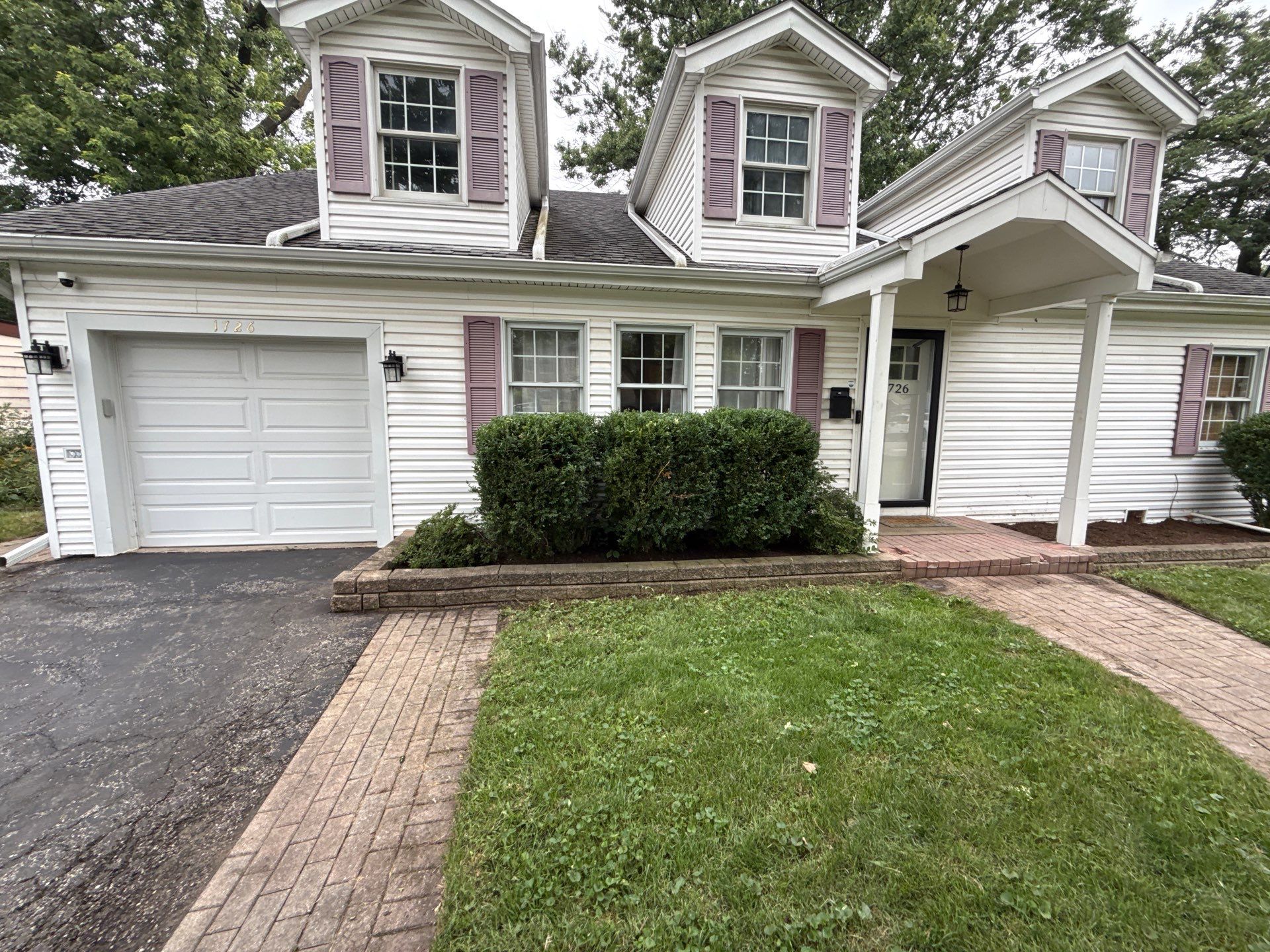 Steven L. - Park Ridge, IL by A&N