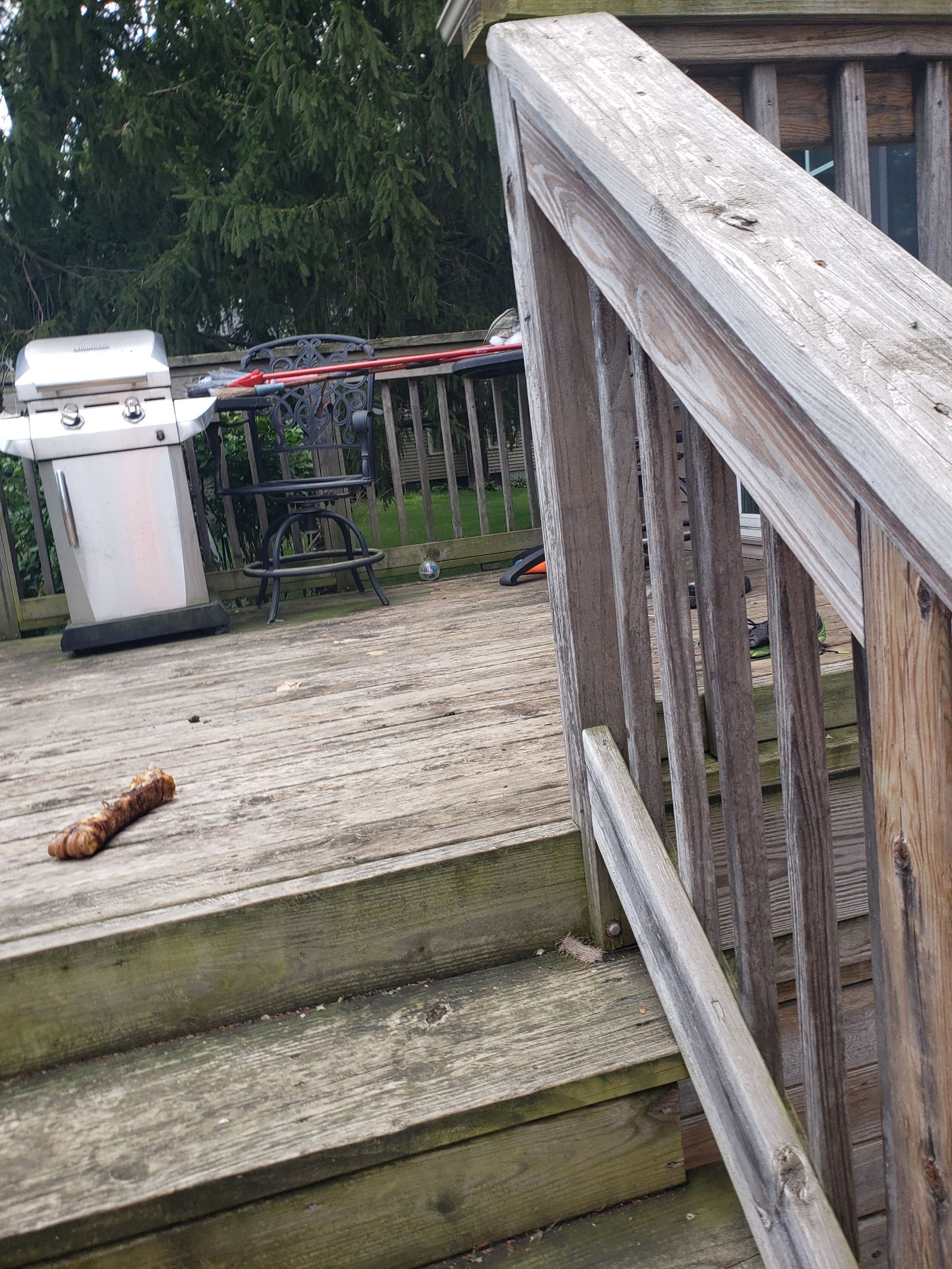 Isaac's Deck Restoration by Map Quality Fencing & Decks