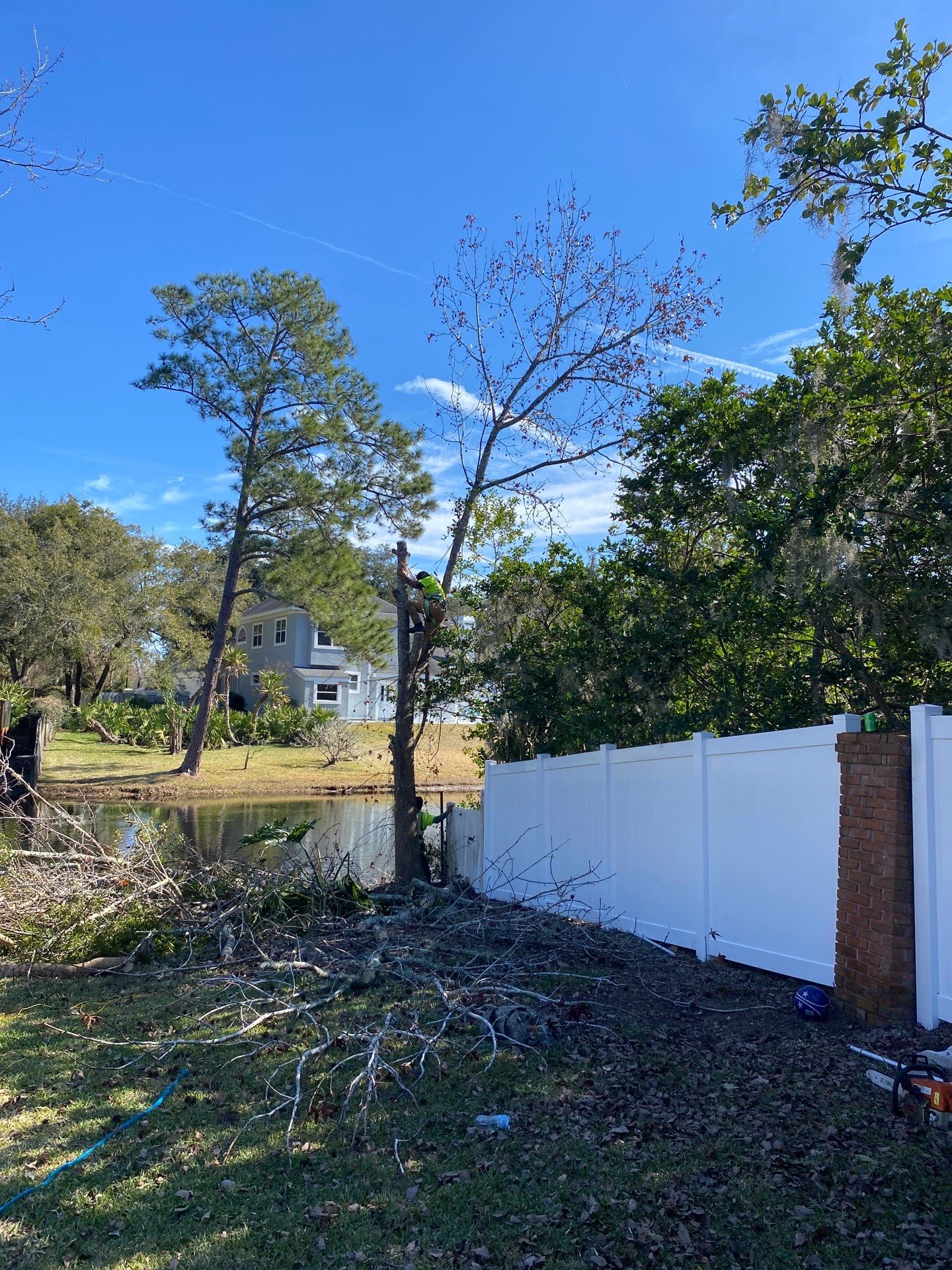 Deerwood Resident | Tree Removal by ProGreen Services