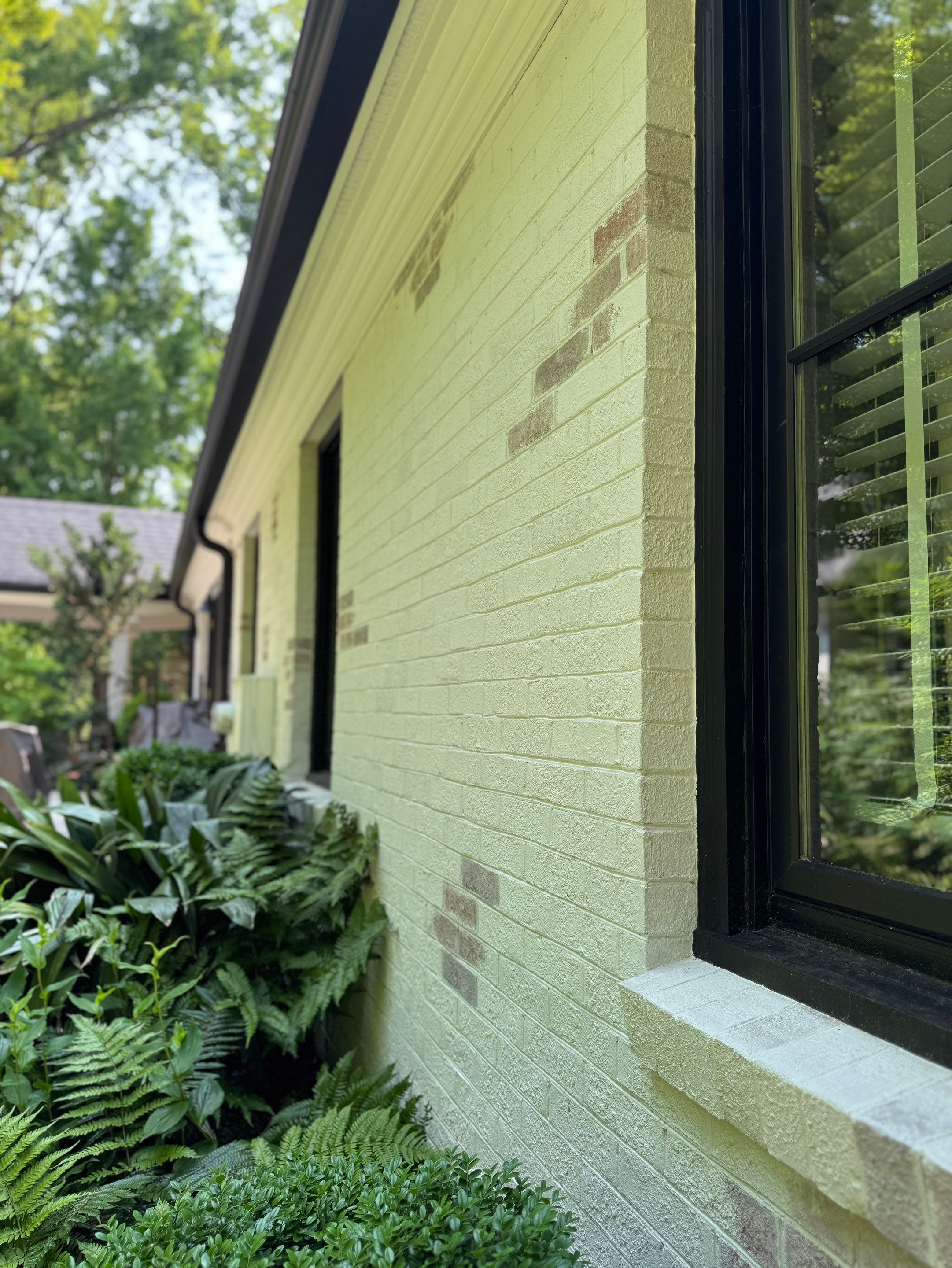 Romabio Classico Limewash - Spartanburg, SC by Renew Painting