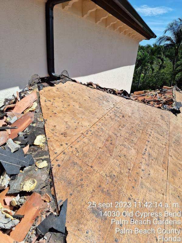 Terracotta Clay Tile by Reimagine Roofing