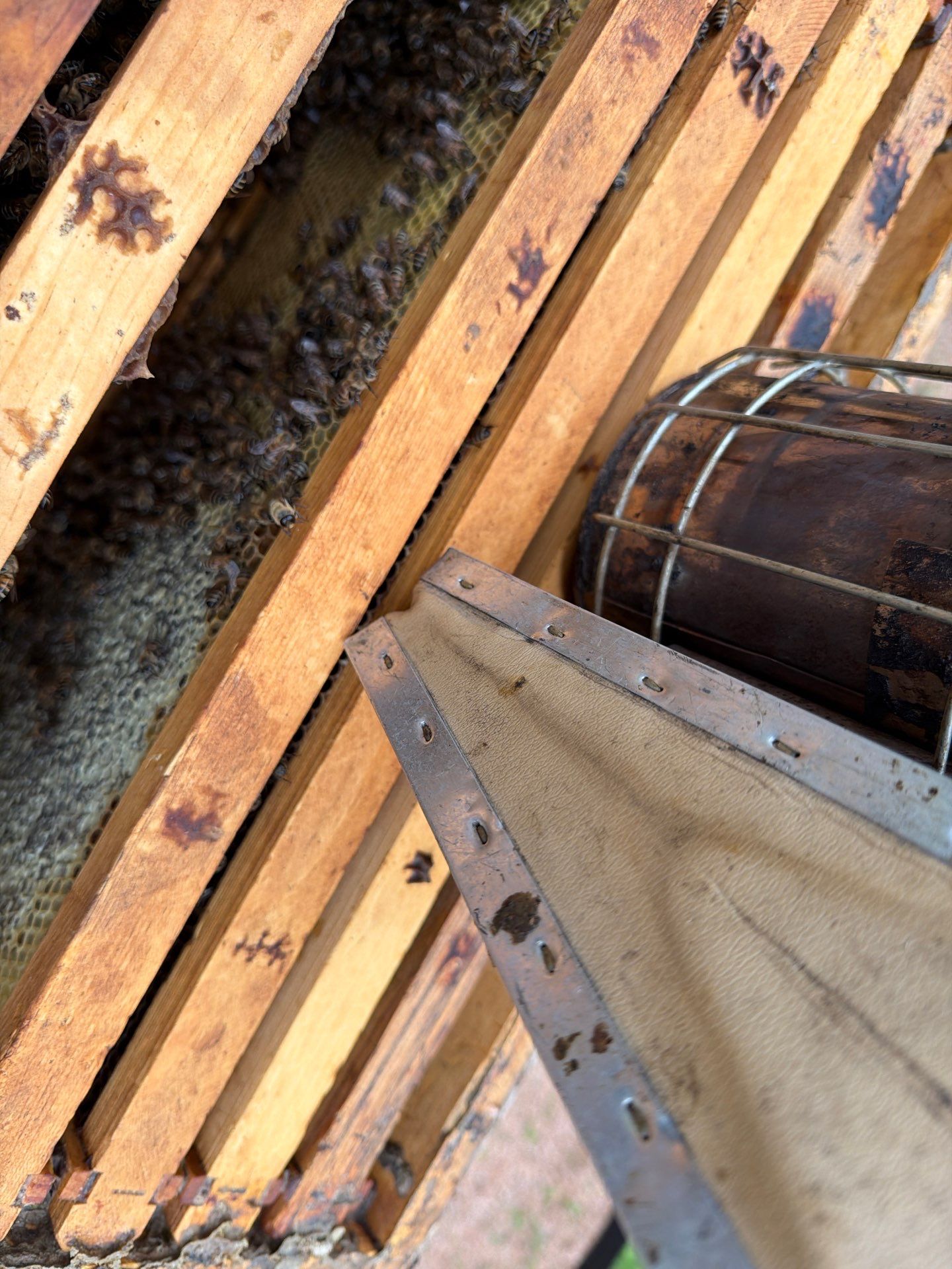A Corp. HQ by Rockwall Honey Bee Company