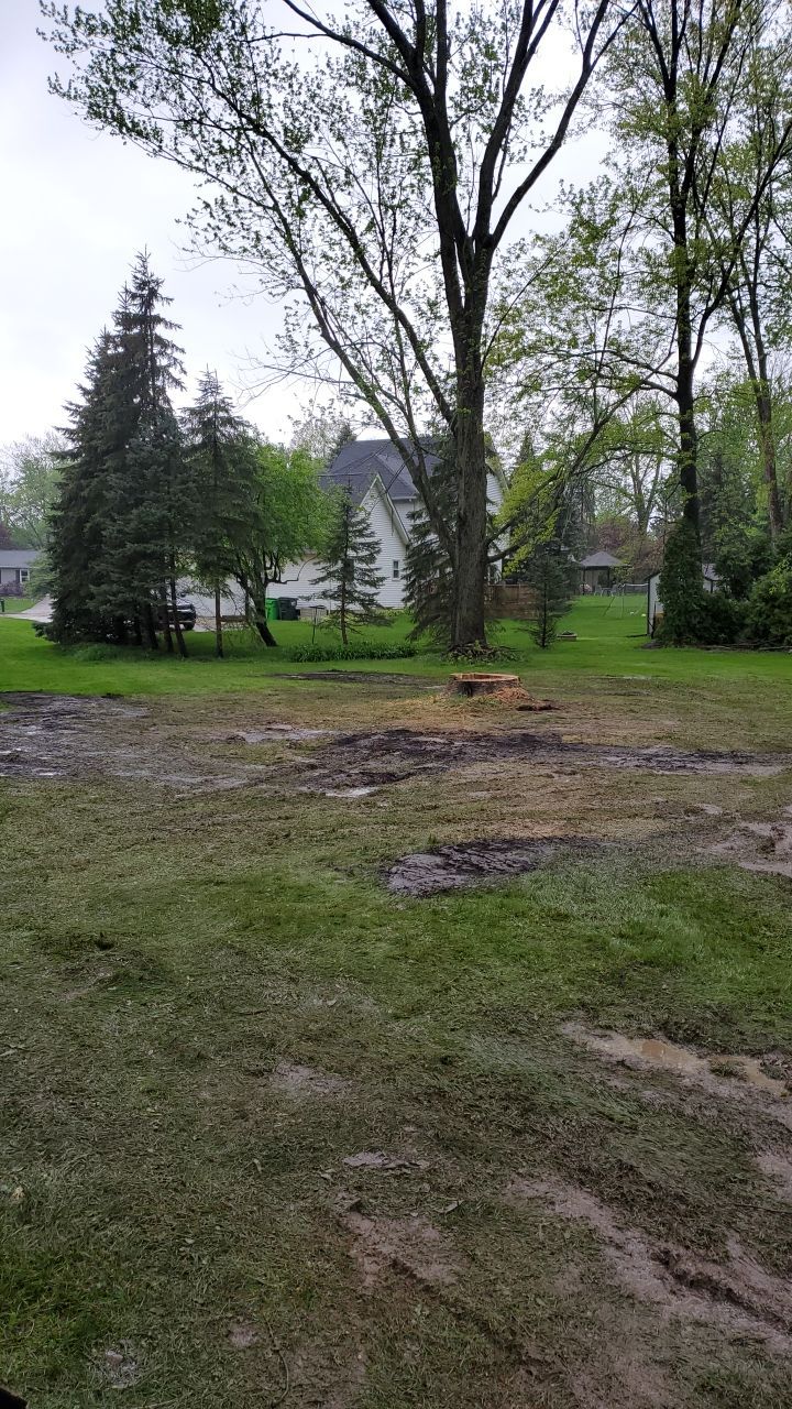 Tree Removal using Tree Removal by Mike Jones & Sons Tree Service LLC 
