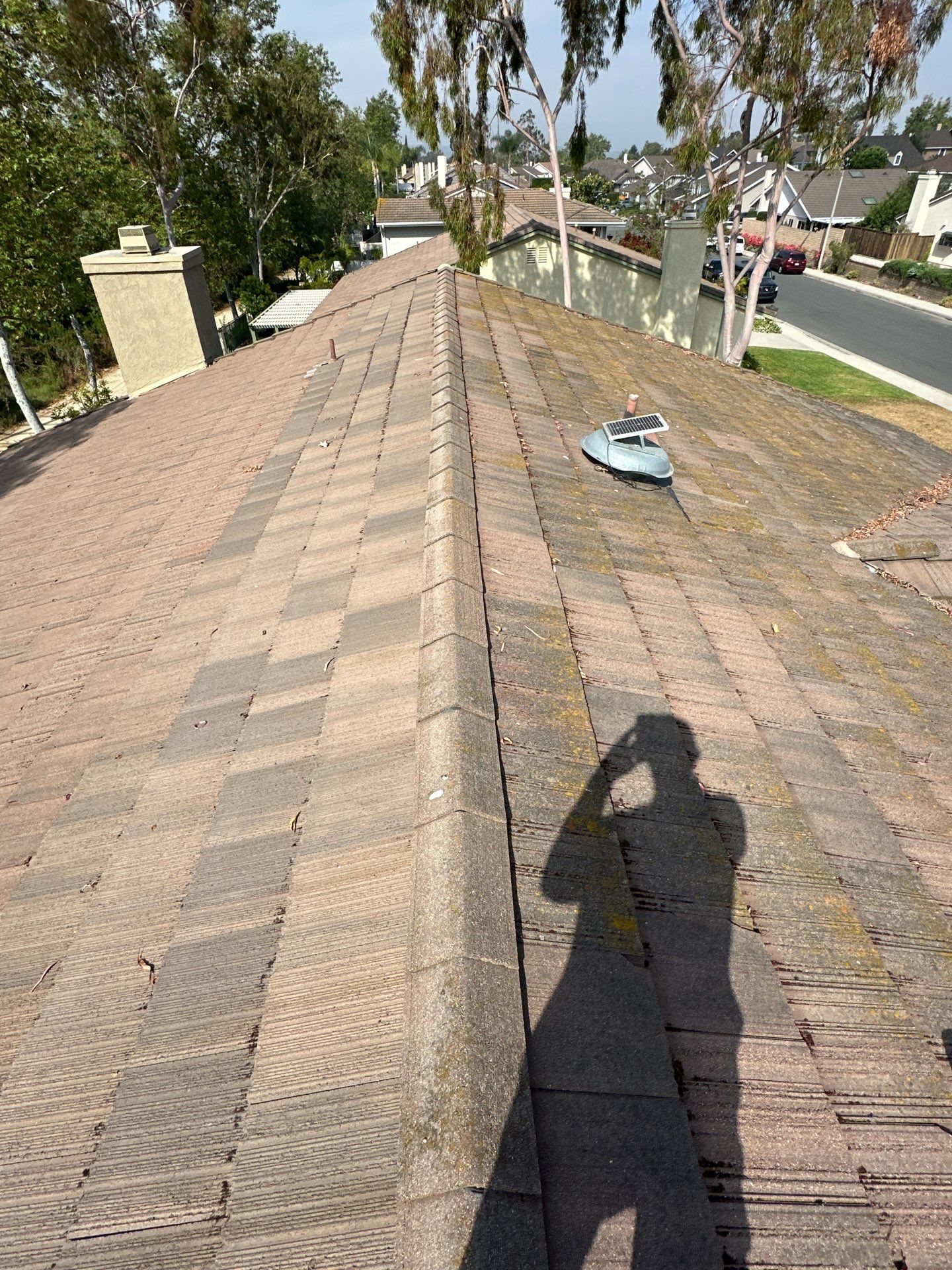 Orange County Roof Washing in Lake Forest by Property Cleaning Experts, LLC
