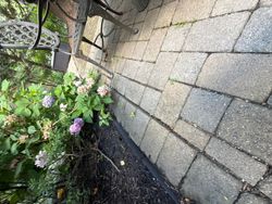 Window Cleaning in Chatham, NJ — Gallo Bros job photo