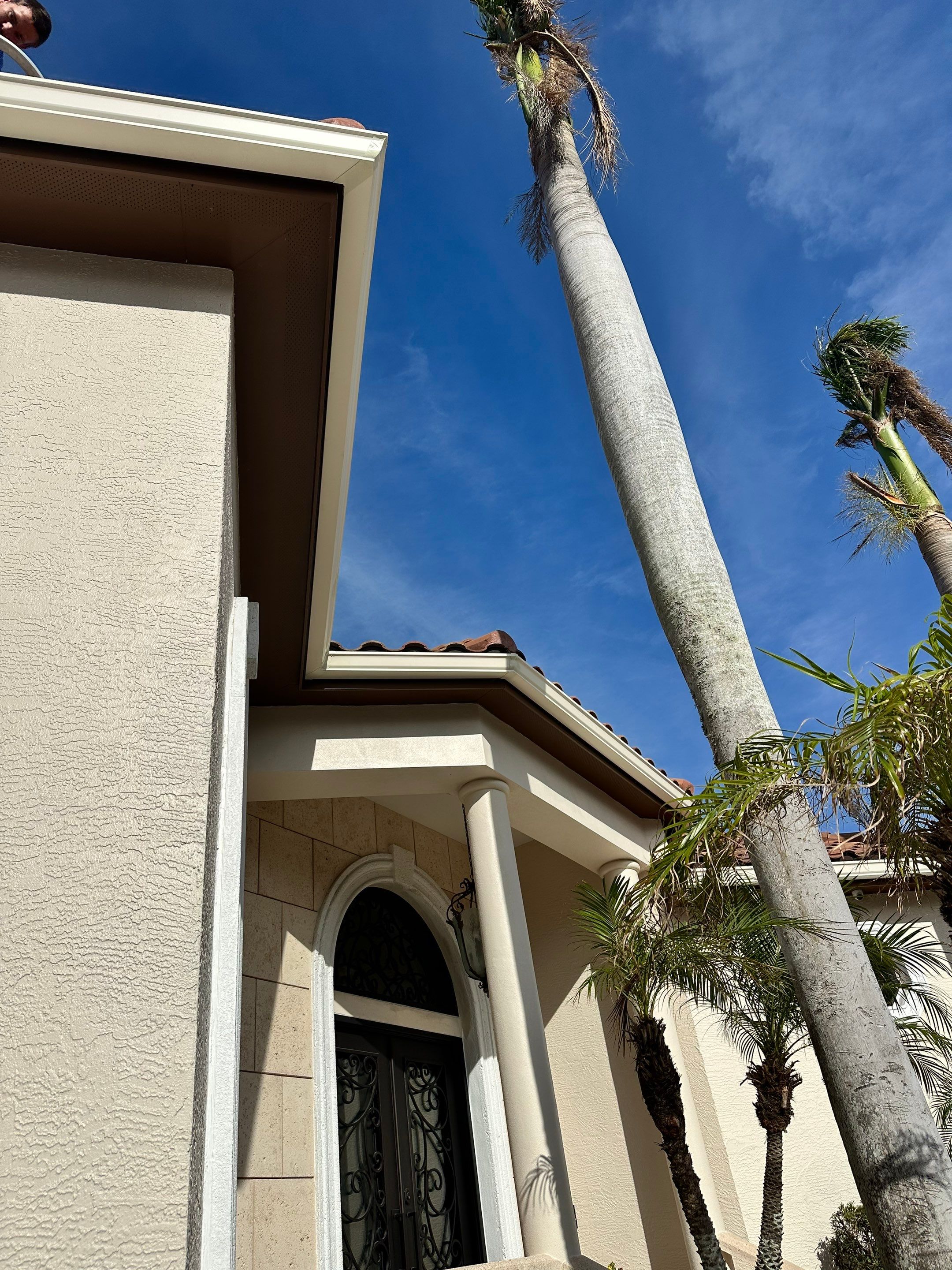 Cameo Finish Gutters for Luxury Homes  by Gutter Professors