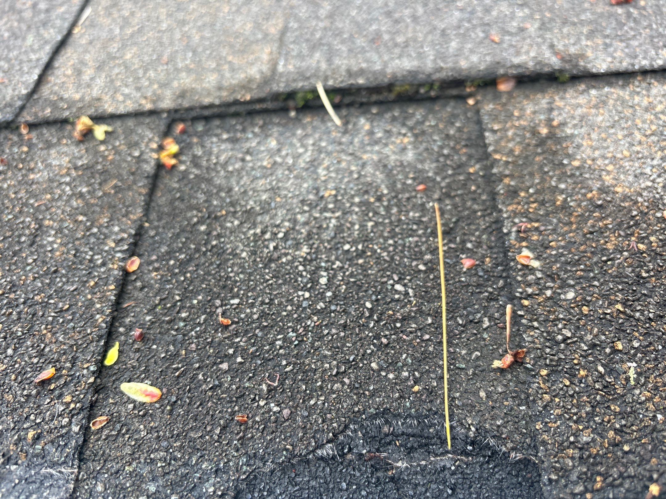 Roof Replacement using Owens Corning Brownwood by 180 Contractors