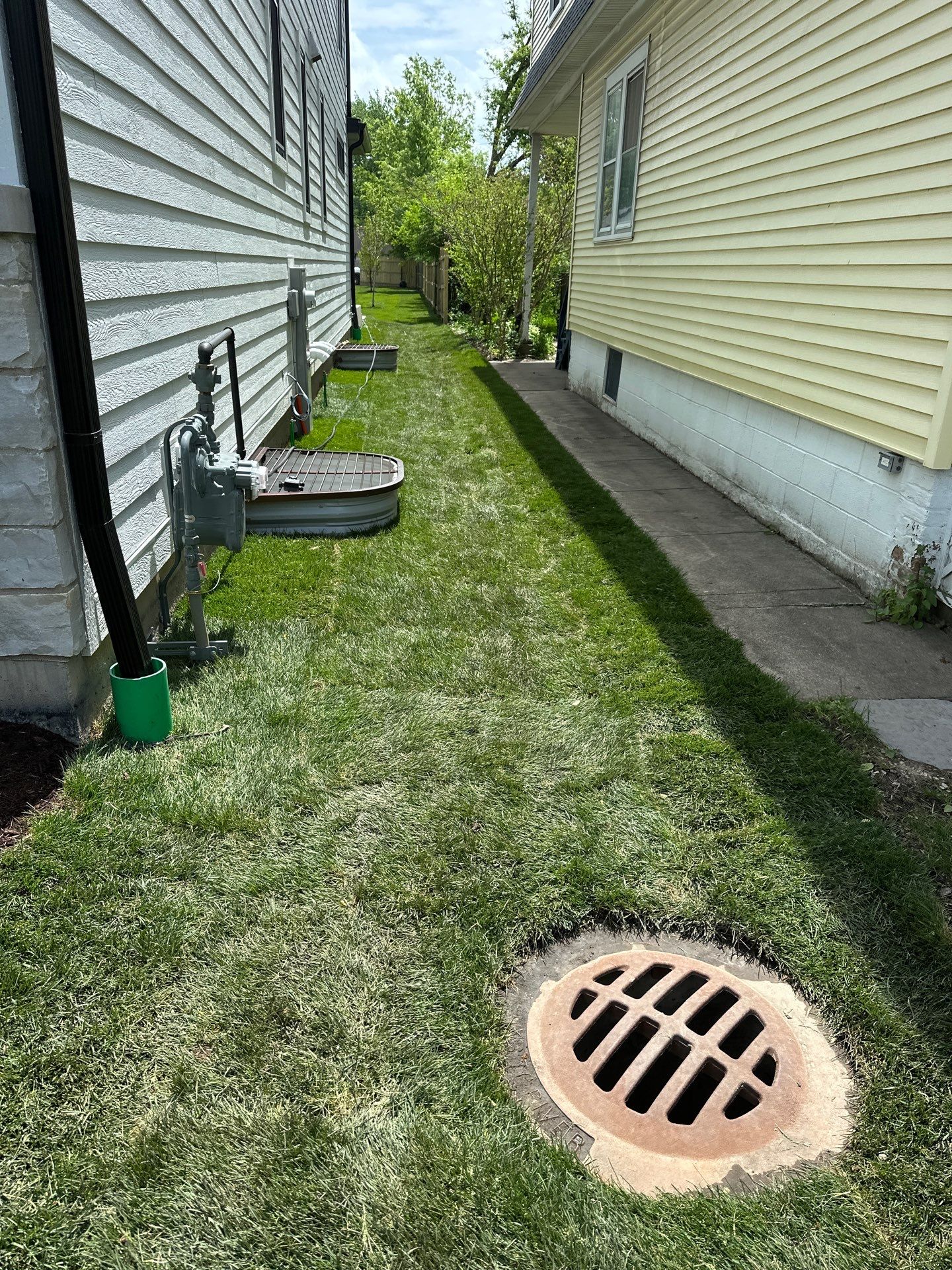 Tom D. - Wilmette, IL by A&N