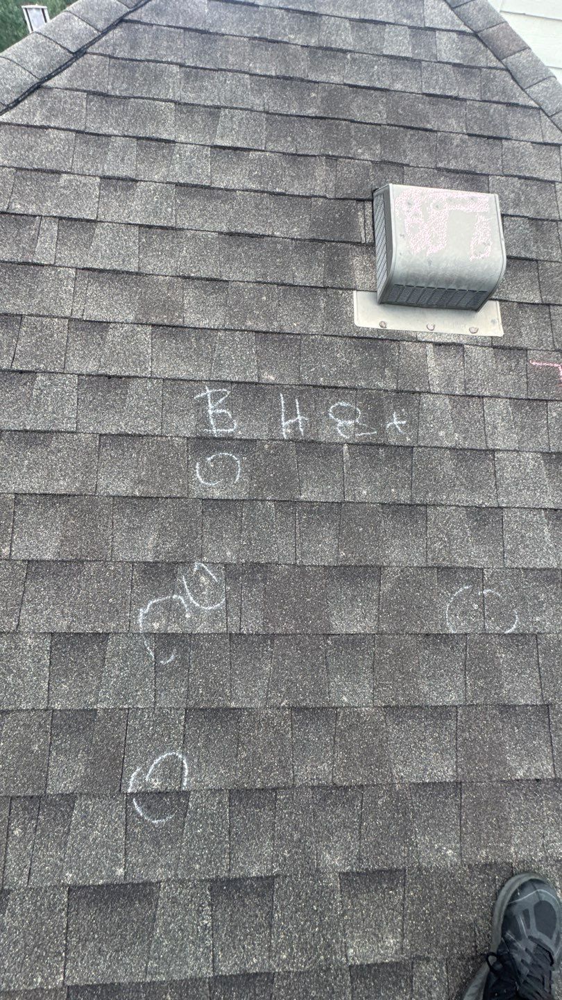 Franky Inspection by Boss Hogg Roofing