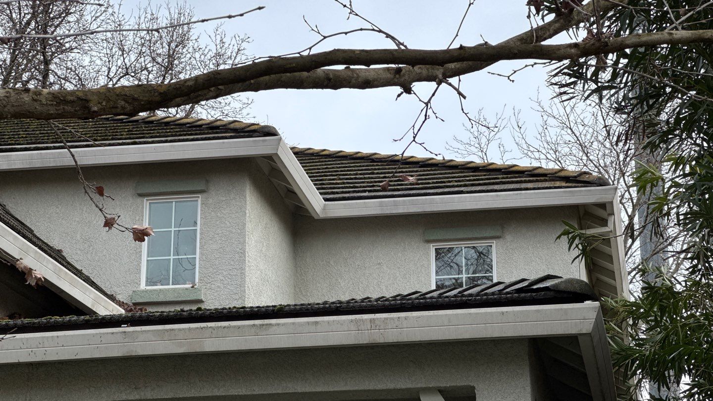 Project by NuLead Construction Inc by NuLead Construction Inc