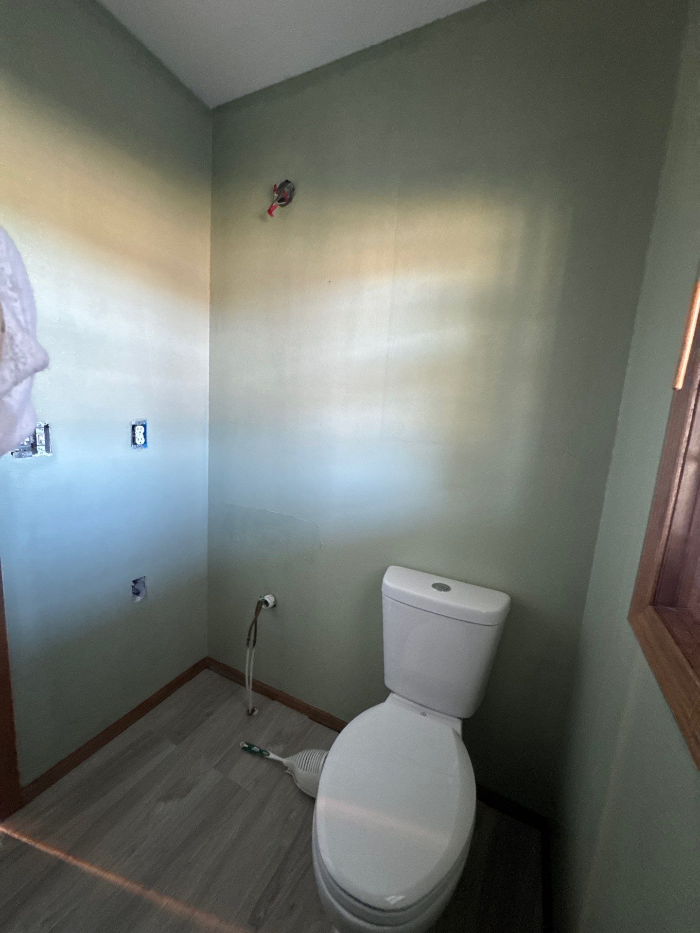 Ankeny Residential Interior | SW Duration in Natural Linen, Velvet Antler Accents & Clary Sage Bath with ProMar Flat White Ceilings by Midwest Paint LLC